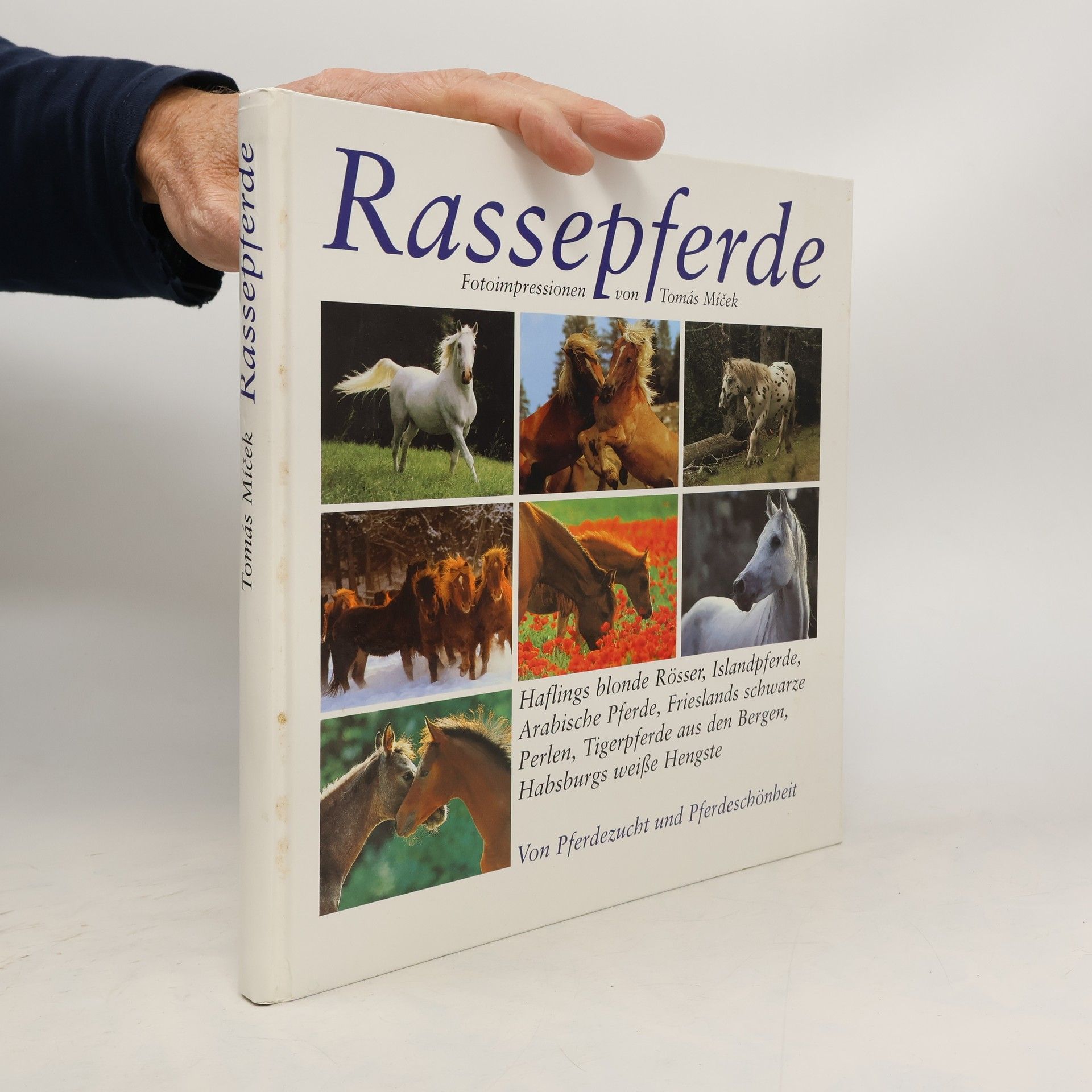 Rassepferde