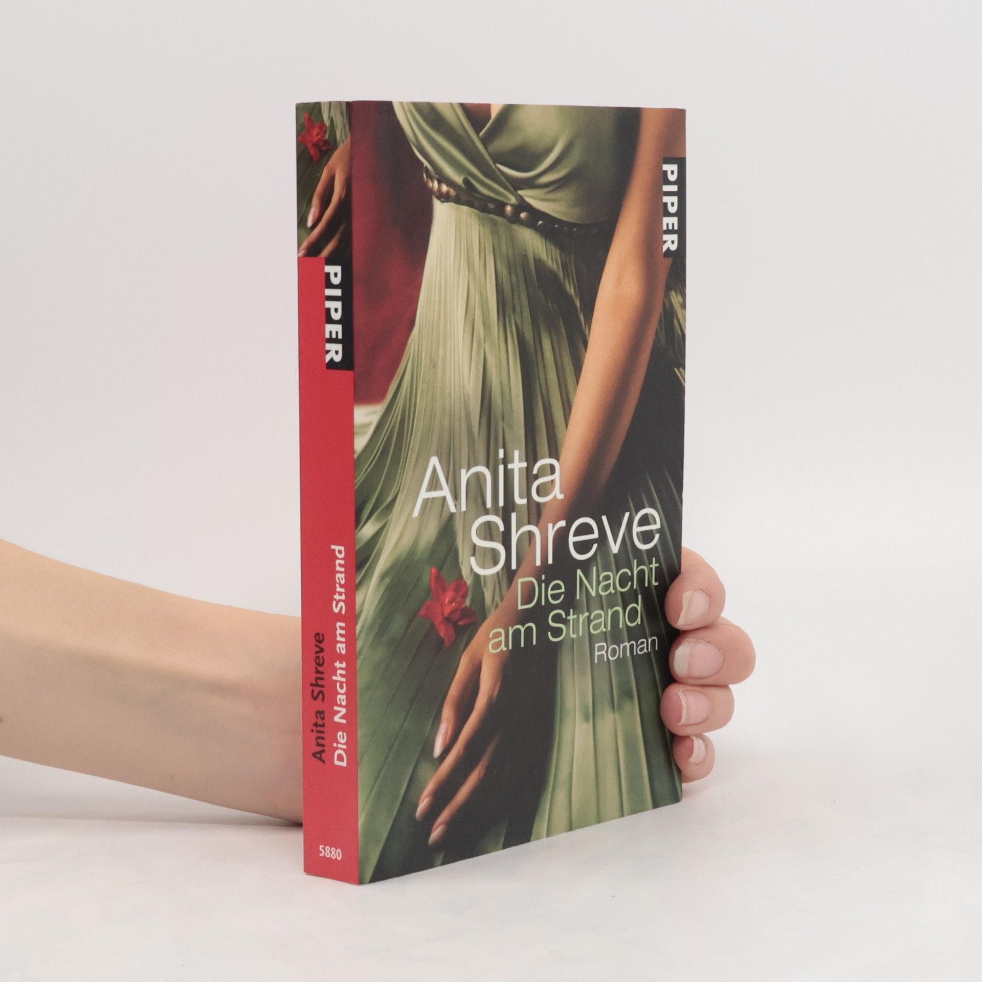 Anita Shreve Die Nacht am Strand