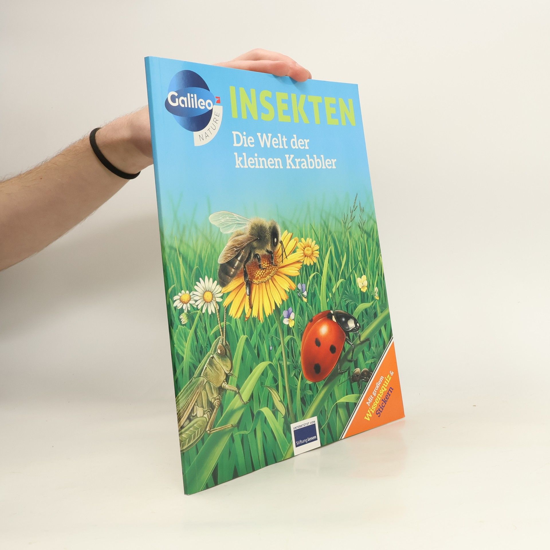 Kolektiv autorů Insekten. Die Welt der kleinen Krabbler