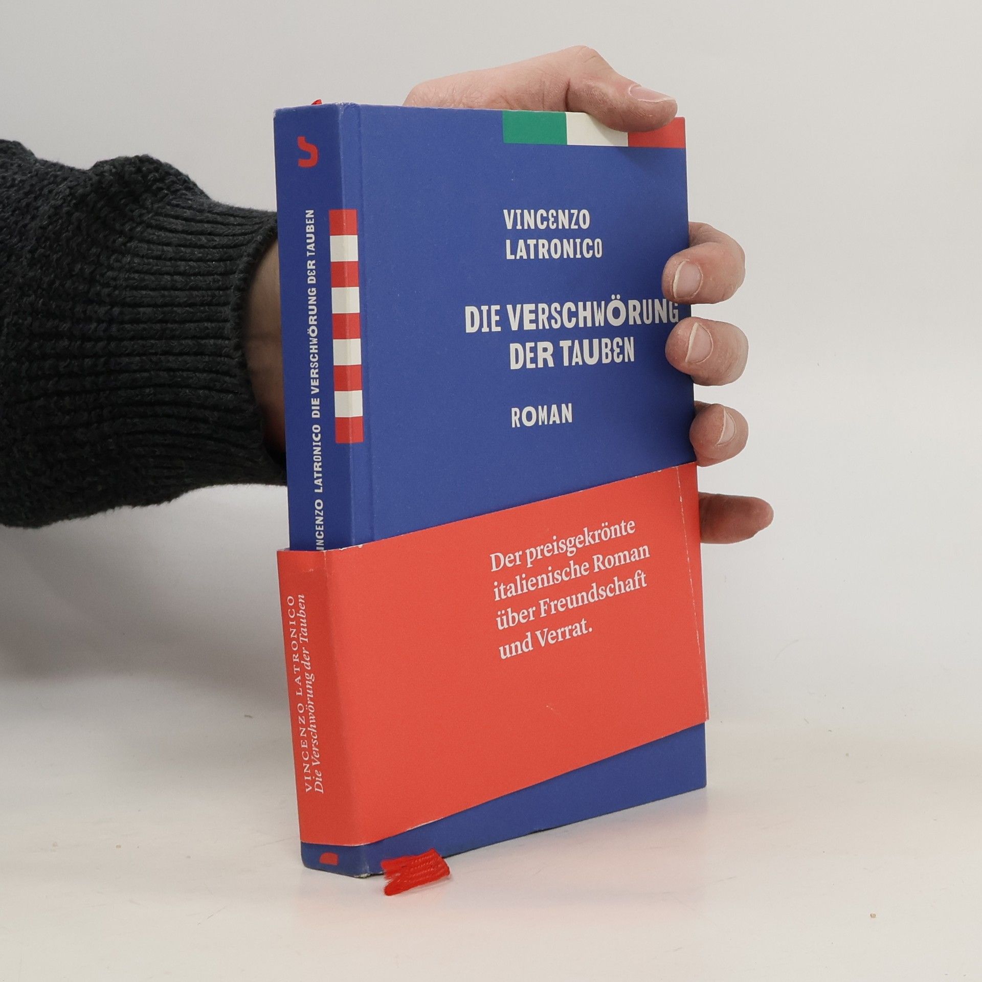 Vincenzo Latronico Die Verschwörung der Tauben