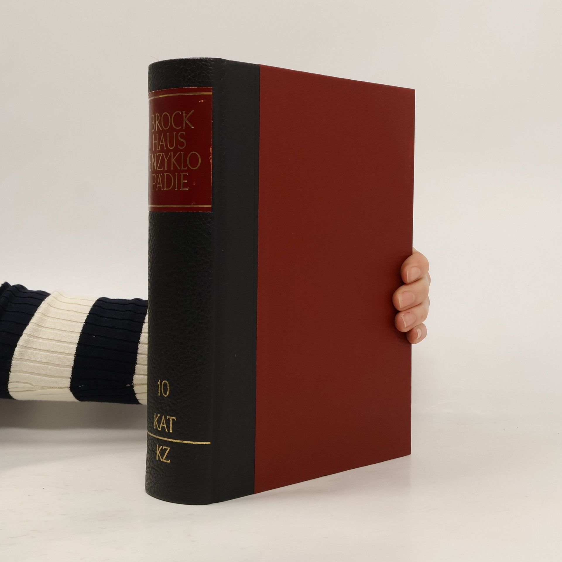 AA.VV. Brockhaus Enzyklopädie 10