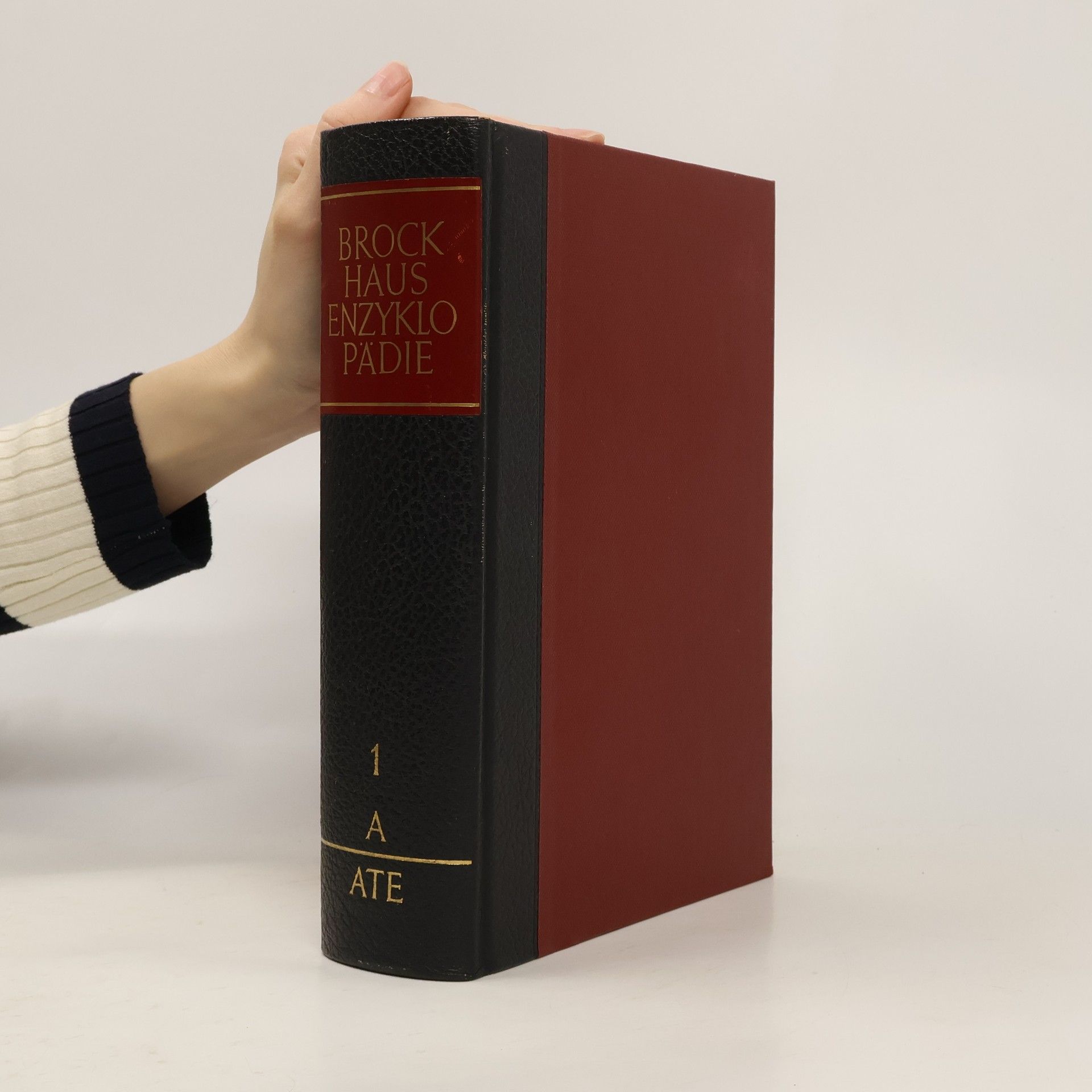 Autorenkollektiv Brockhaus Enzyklopädie 1. A-ATE