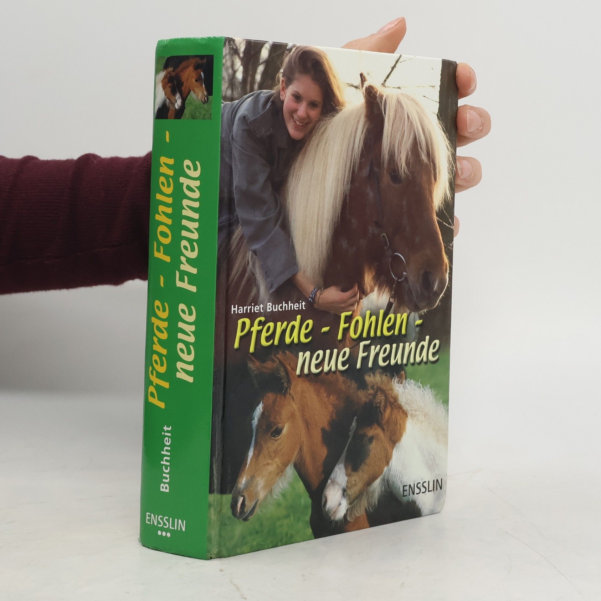 Harriet Buchheit Pferde - Fohlen - neue Freunde