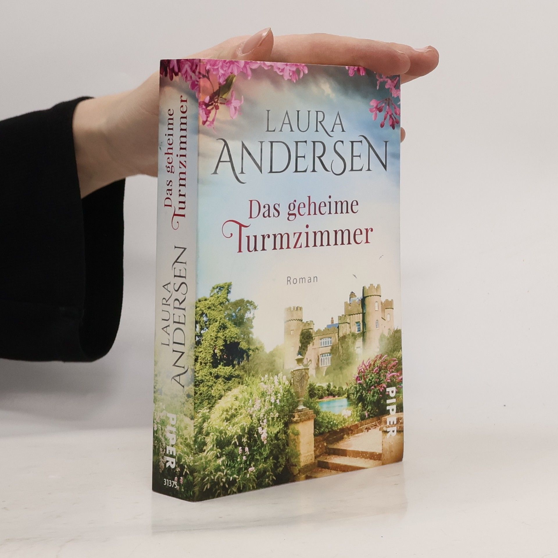 Laura Andersen Das geheime Turmzimmer