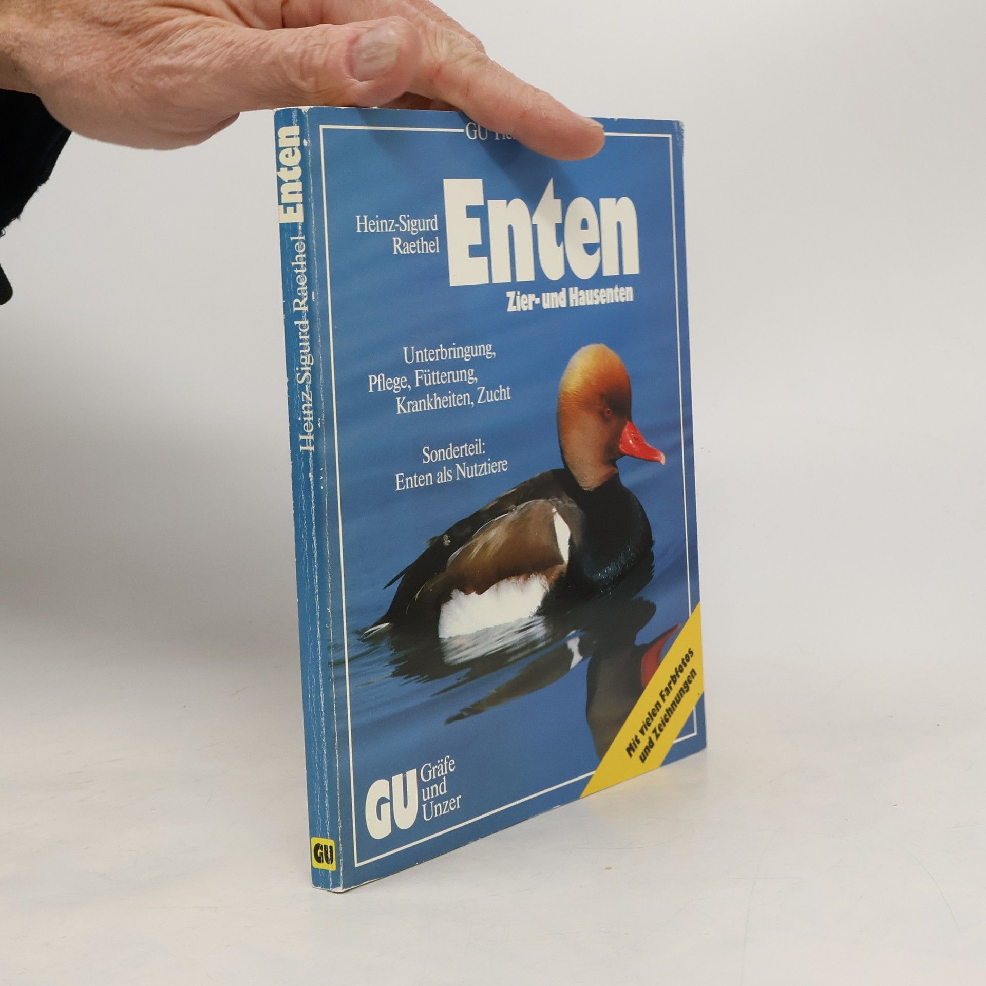 Heinz Sigurd Raethel Enten