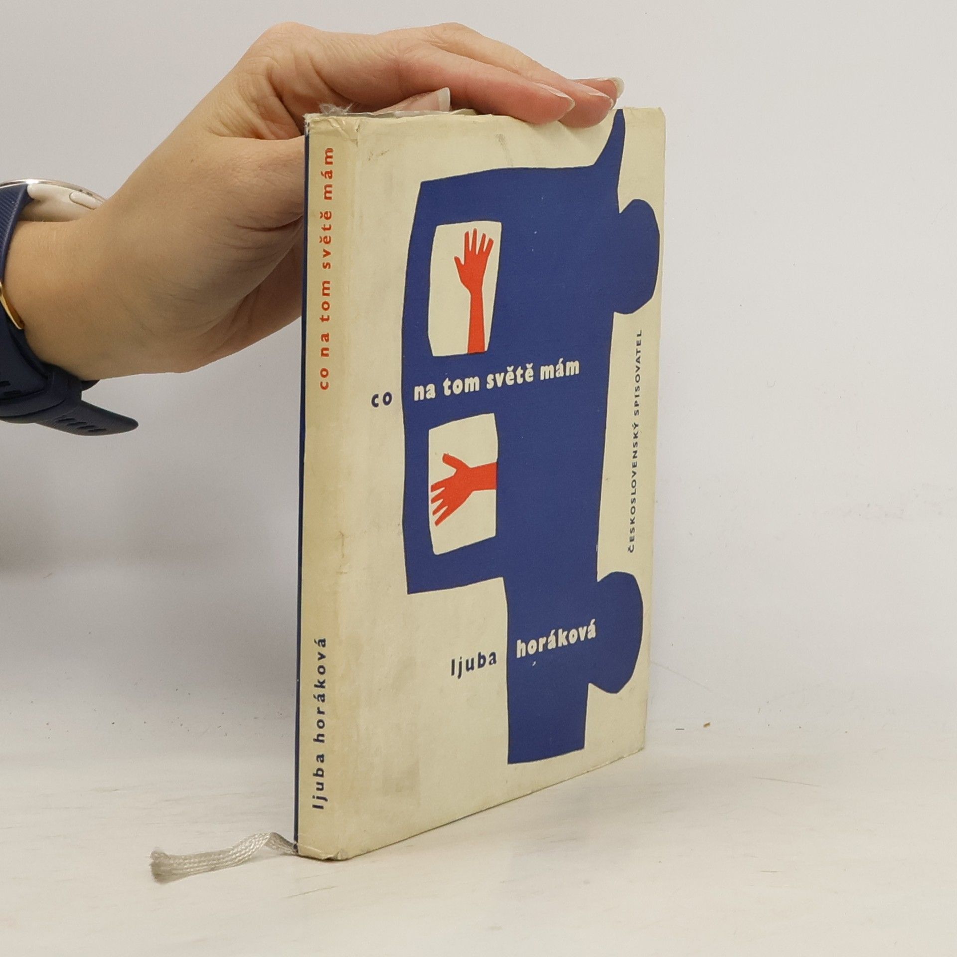 Co na tom světě mám