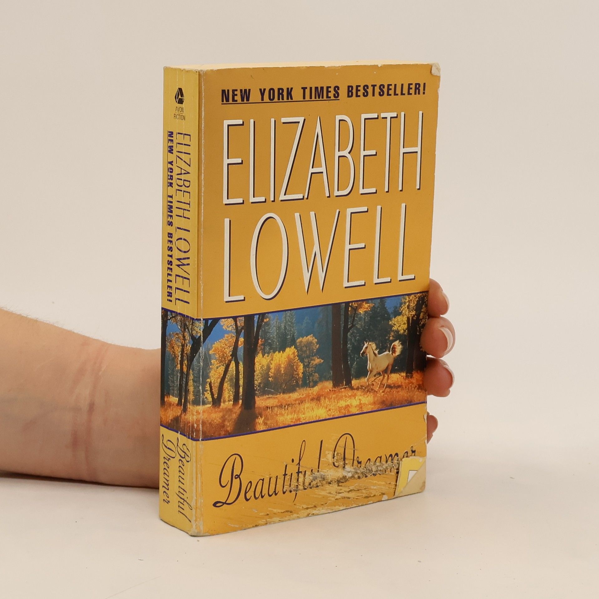 Elizabeth Lowell Beautiful Dreamer