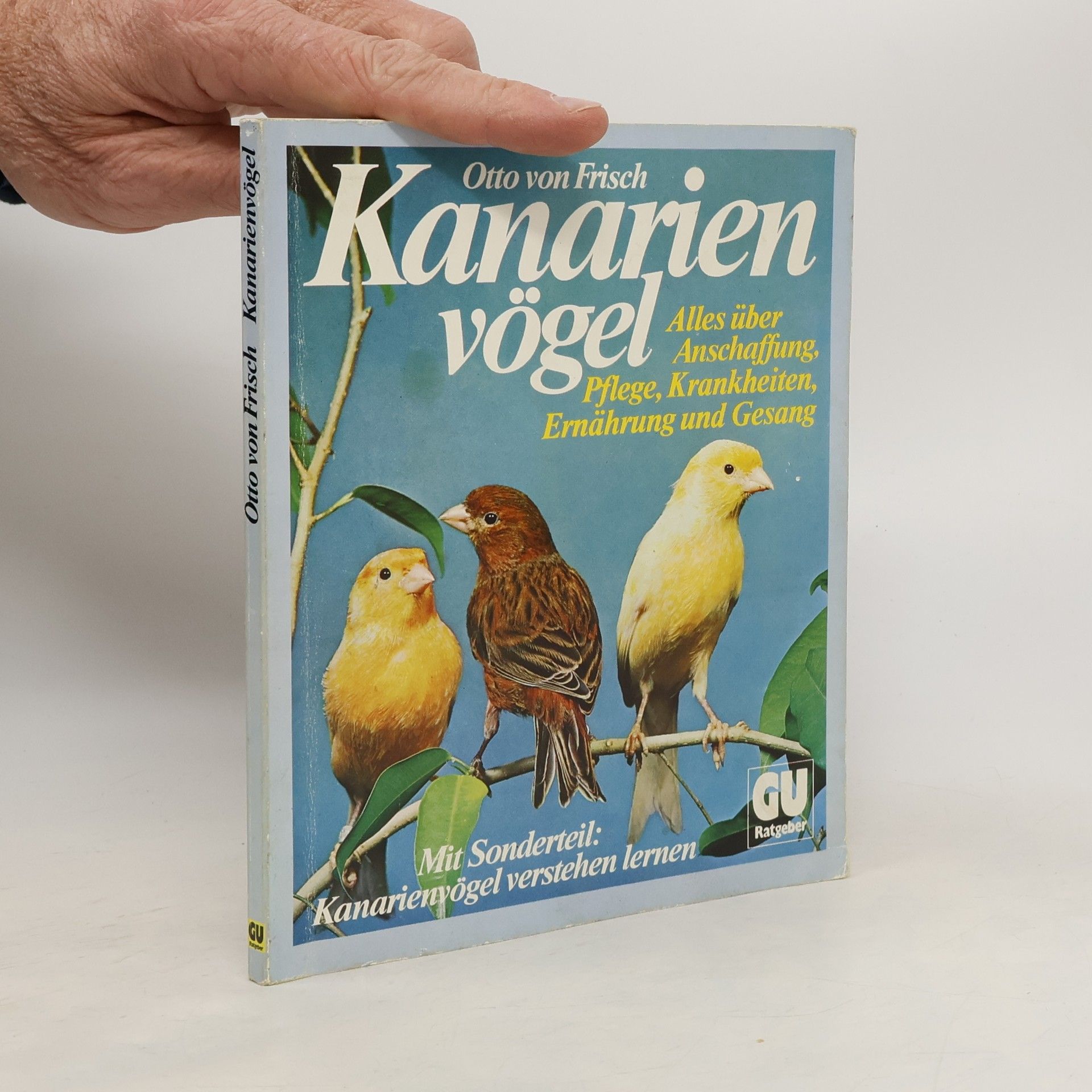 Otto von Frisch Kanarien vögel