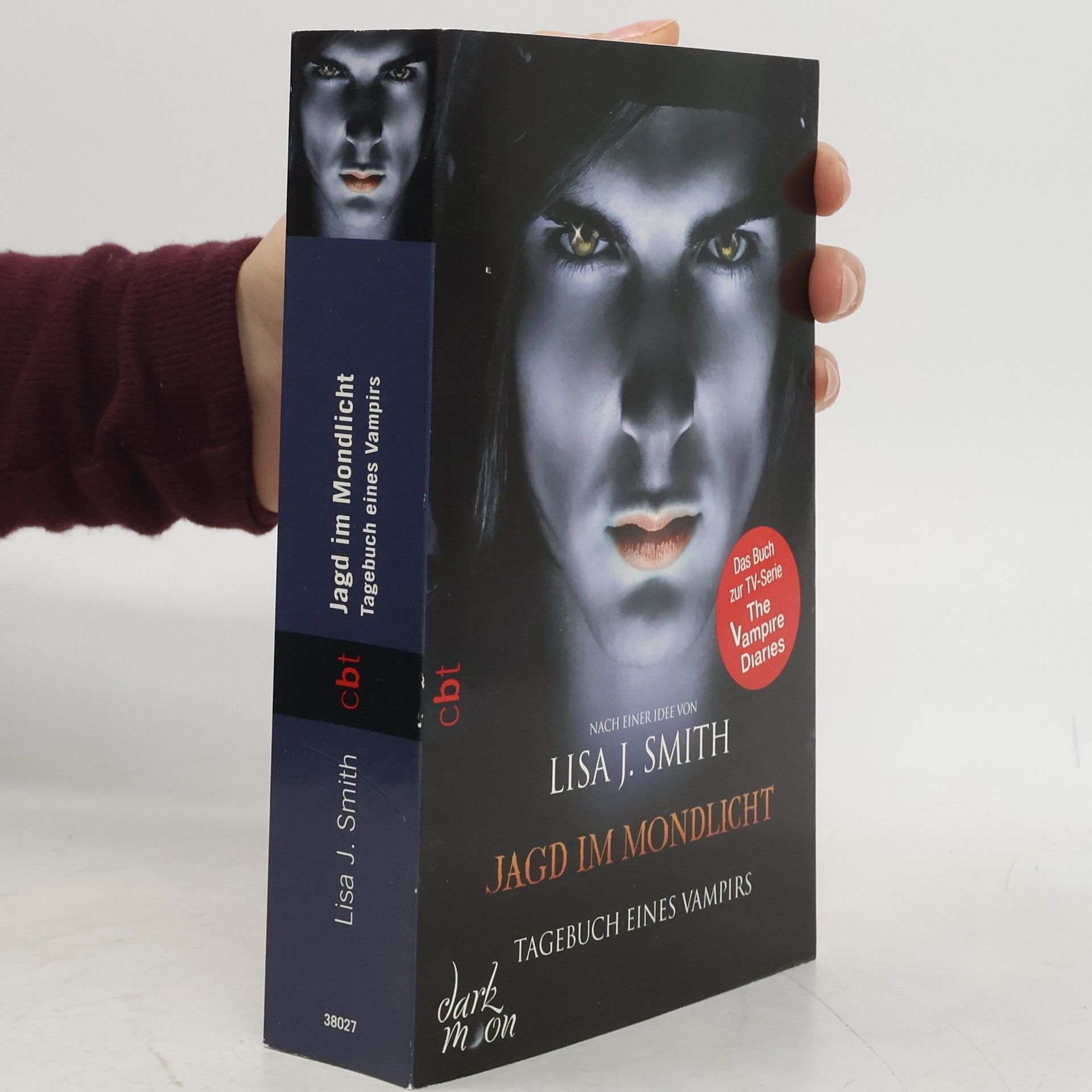 Lisa J. Smith Jagd im Mondlicht