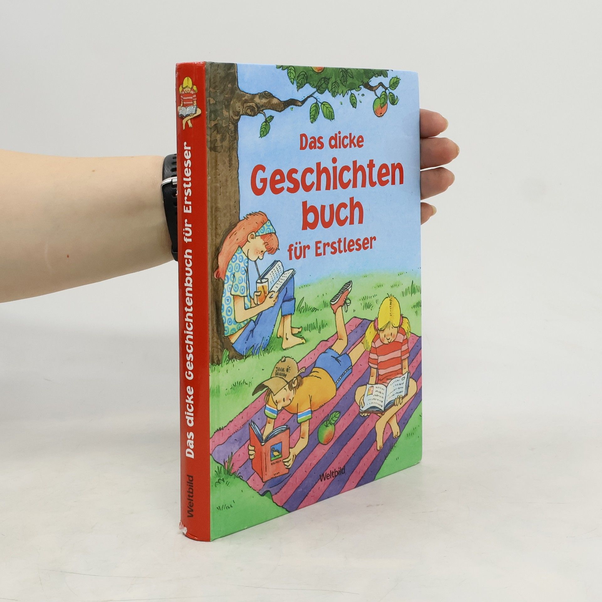 Autorenkollektiv Das dicke Geschichtenbuch für Erstleser