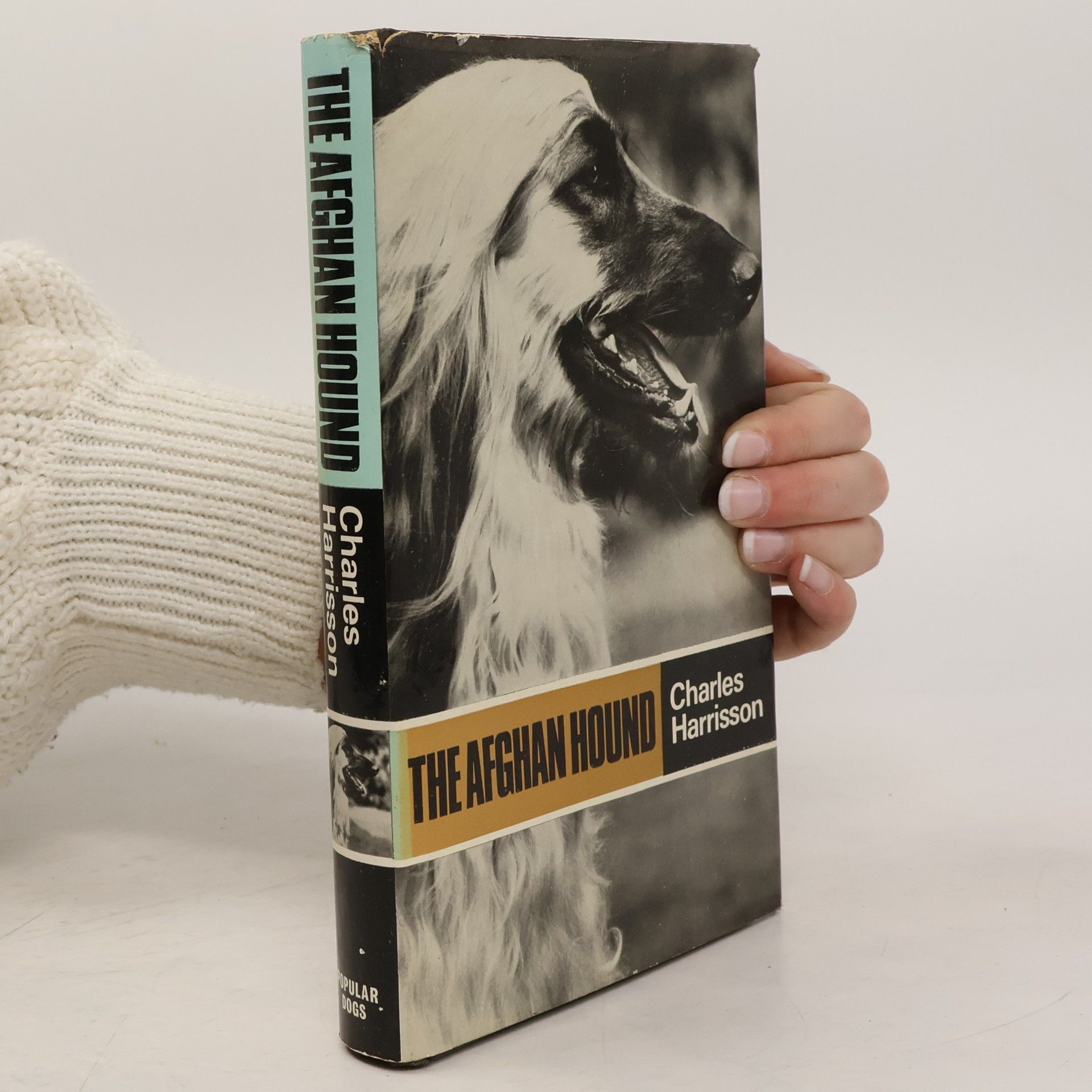 Charles Harrisson The Afghan Hound