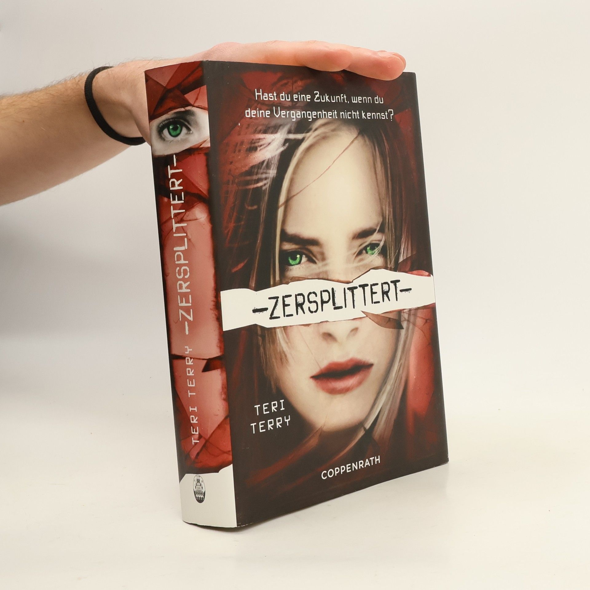 Teri Terry Zersplittert