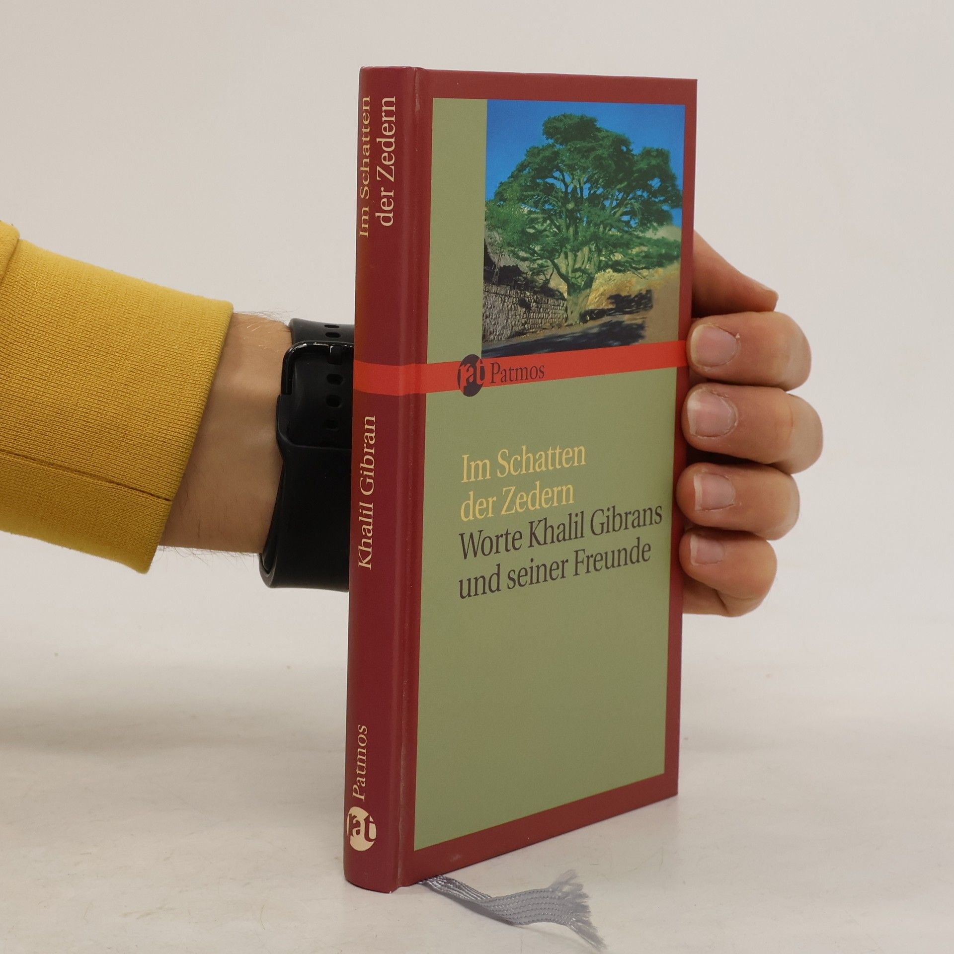 Ursula Assaf-Nowak Im Schatten der Zedern