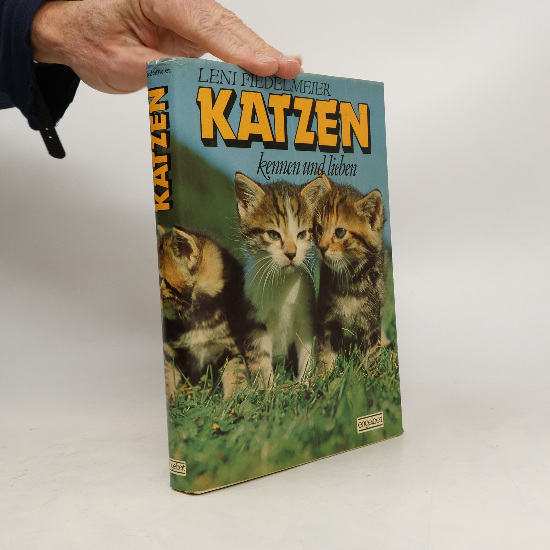 Leni Fiedelmeier Katzen kennen und lieben