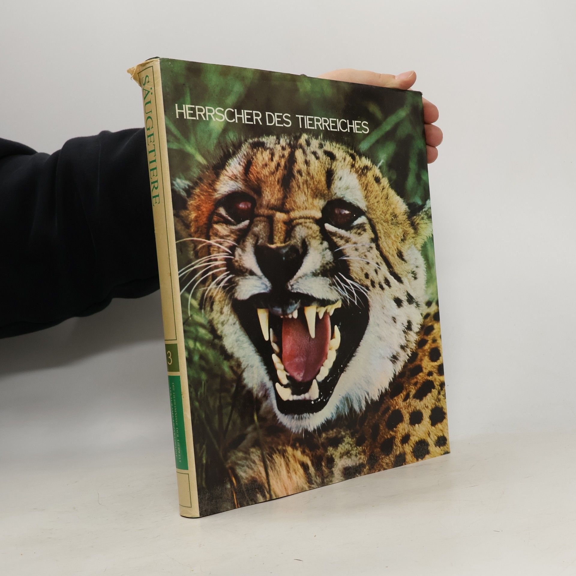 Autorenkollektiv Säugetiere 3. Herrscher des Tierreiches