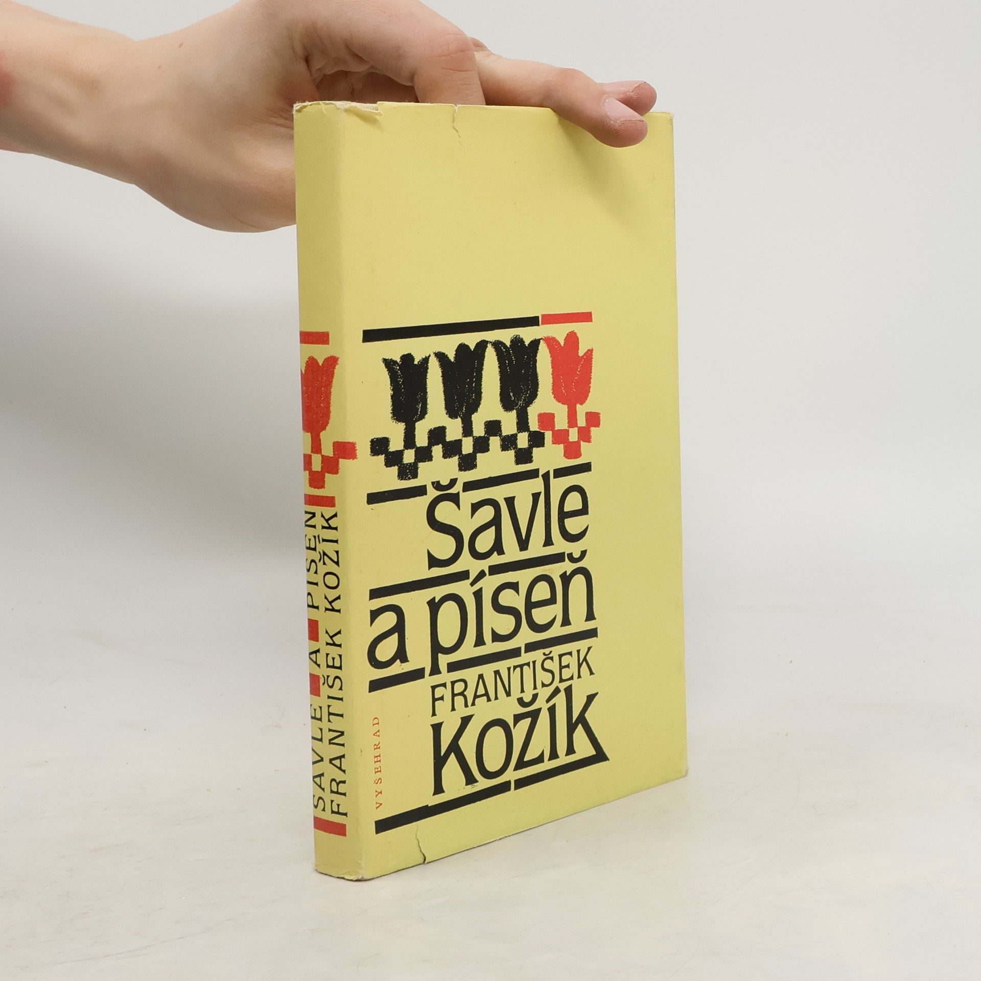 František Kožík Šavle a píseň