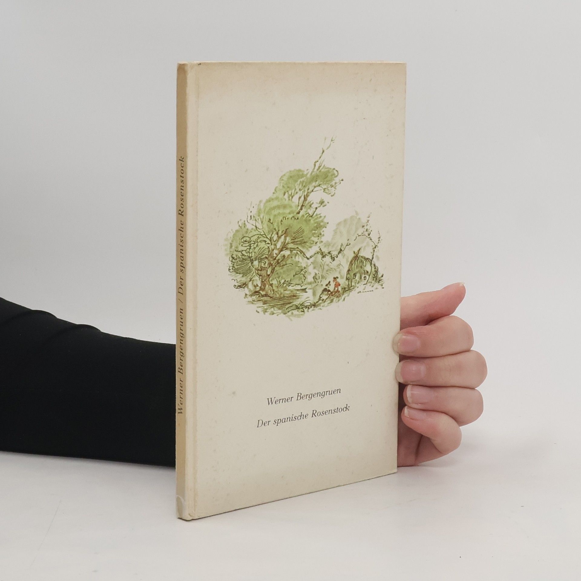 Der spanische Rosenstock