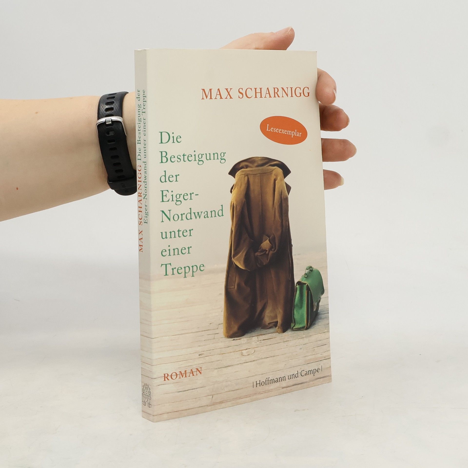 Die Besteigung der Eiger-Nordwand unter einer Treppe