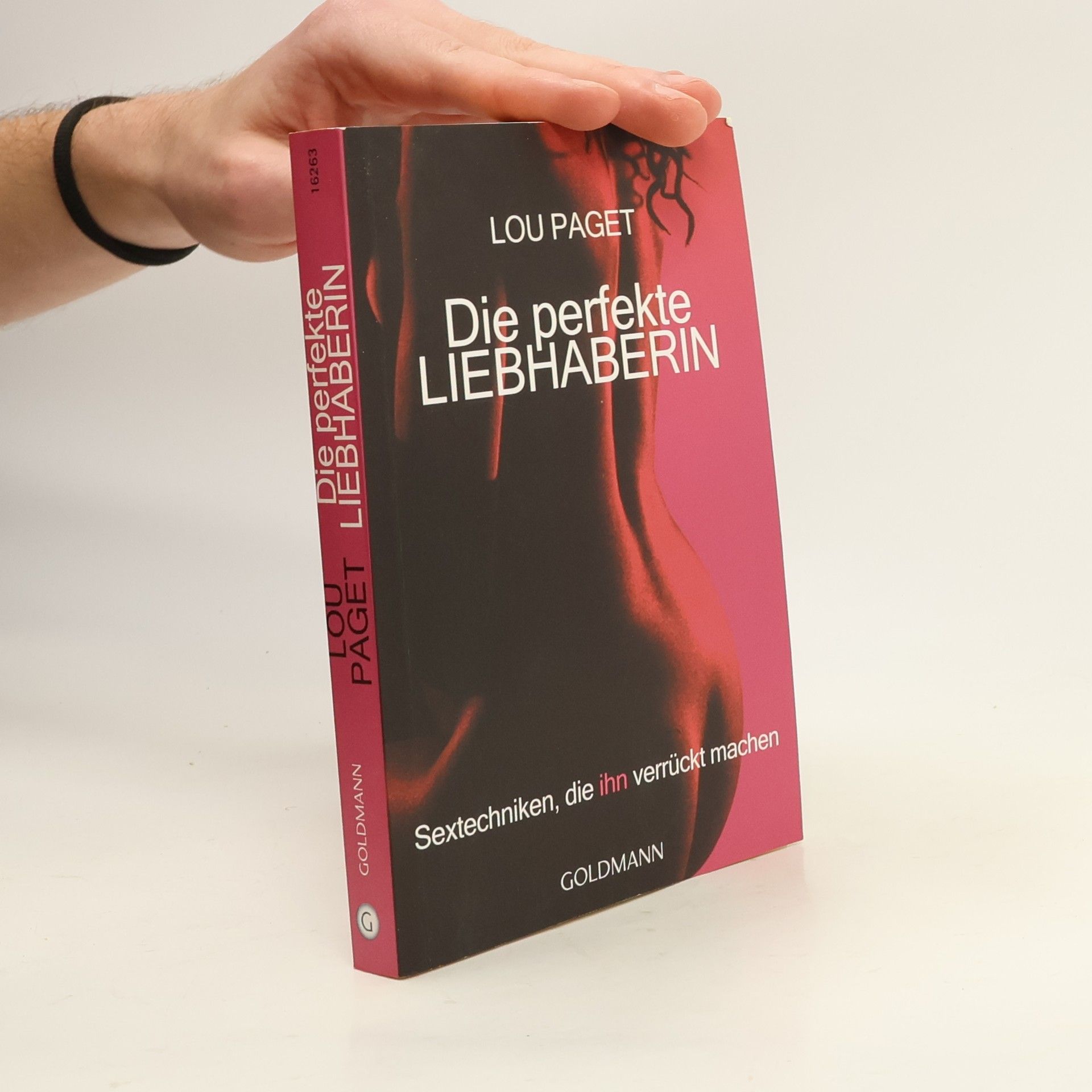 Lou Paget Die perfekte Liebhaberin