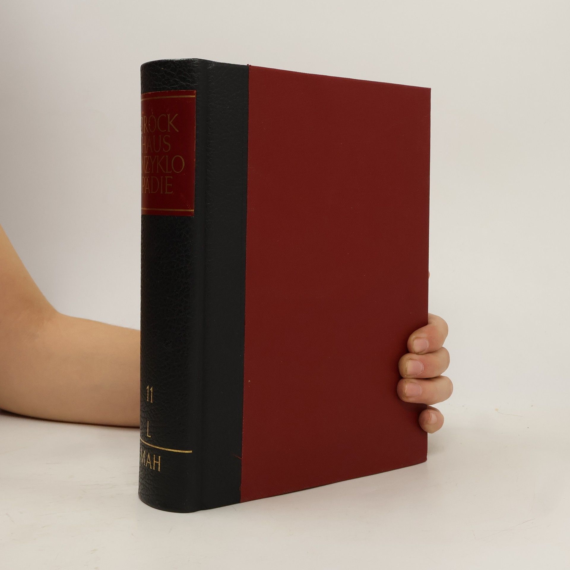 Auteurscollectief Brockhaus Enzyklopädie 11. L-MAH