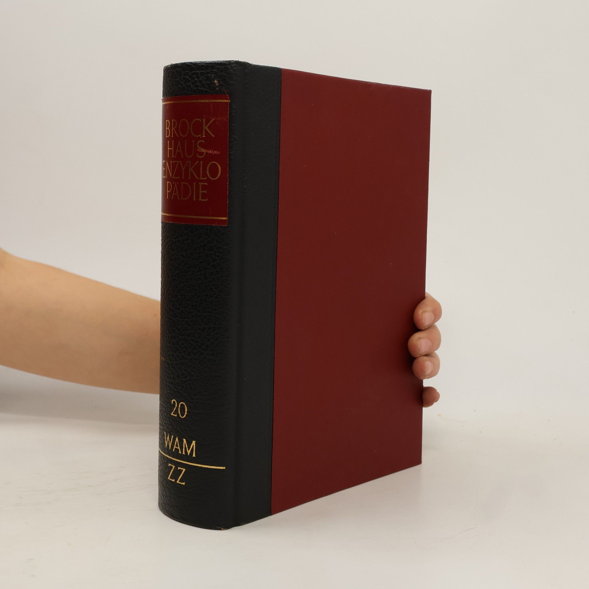 Auteurscollectief Brockhaus Enzyklopädie 20