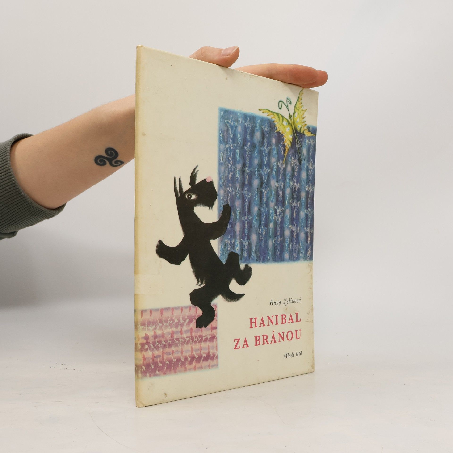 Hana Zelinová Hanibal za bránou