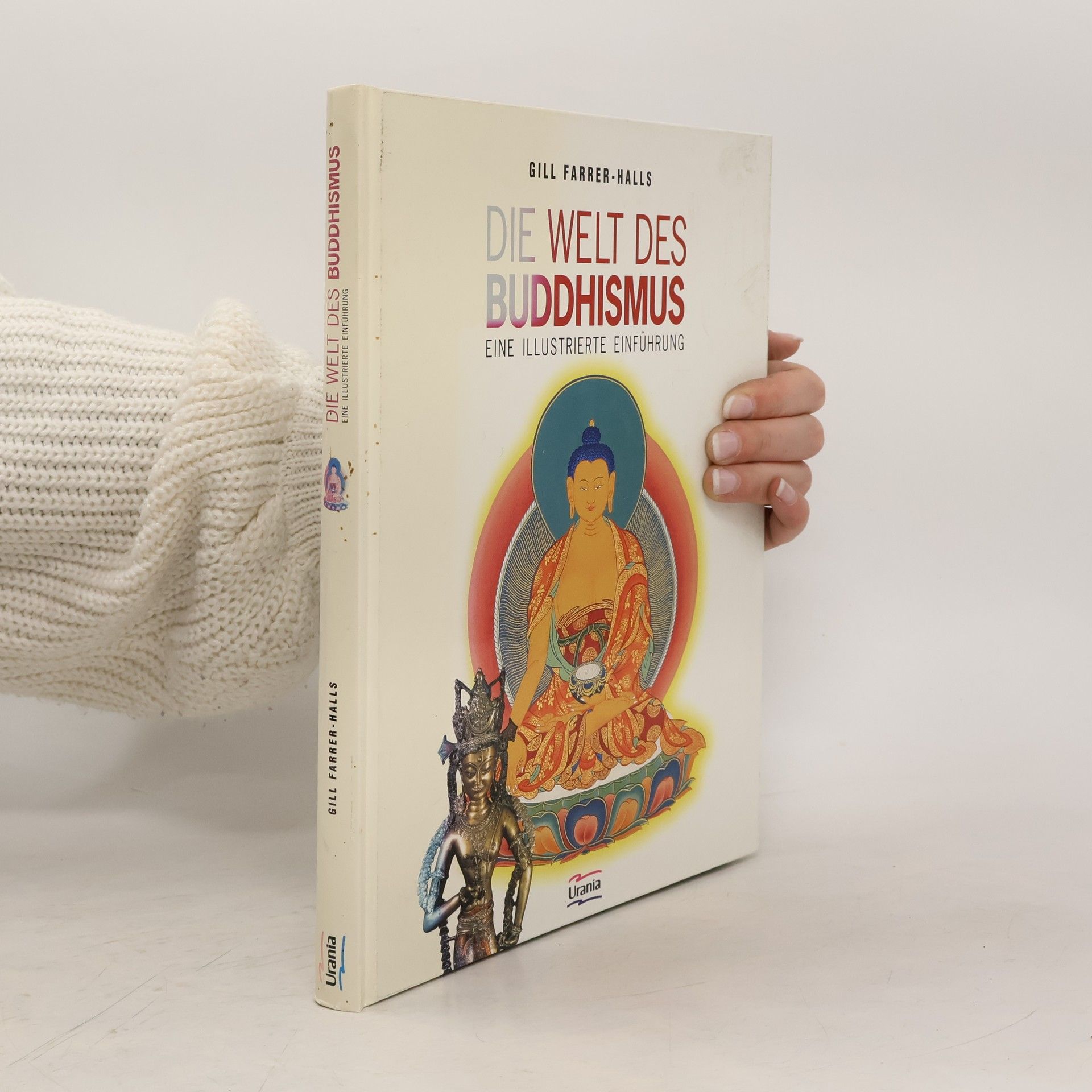 Gill Farrer-Halls Die Welt des Buddhismus