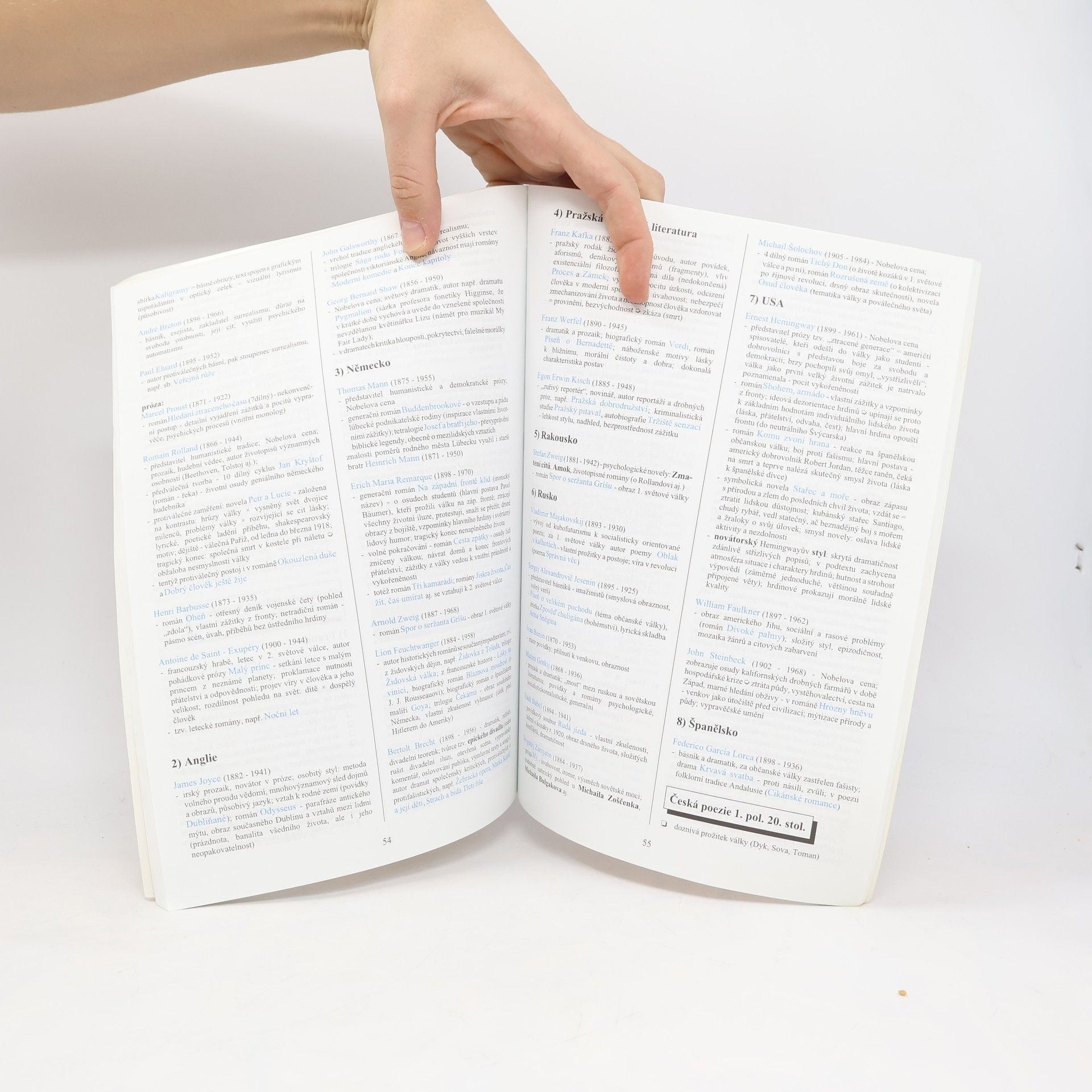 Marie Sochrová Literatura v kostce: Pro střední školy