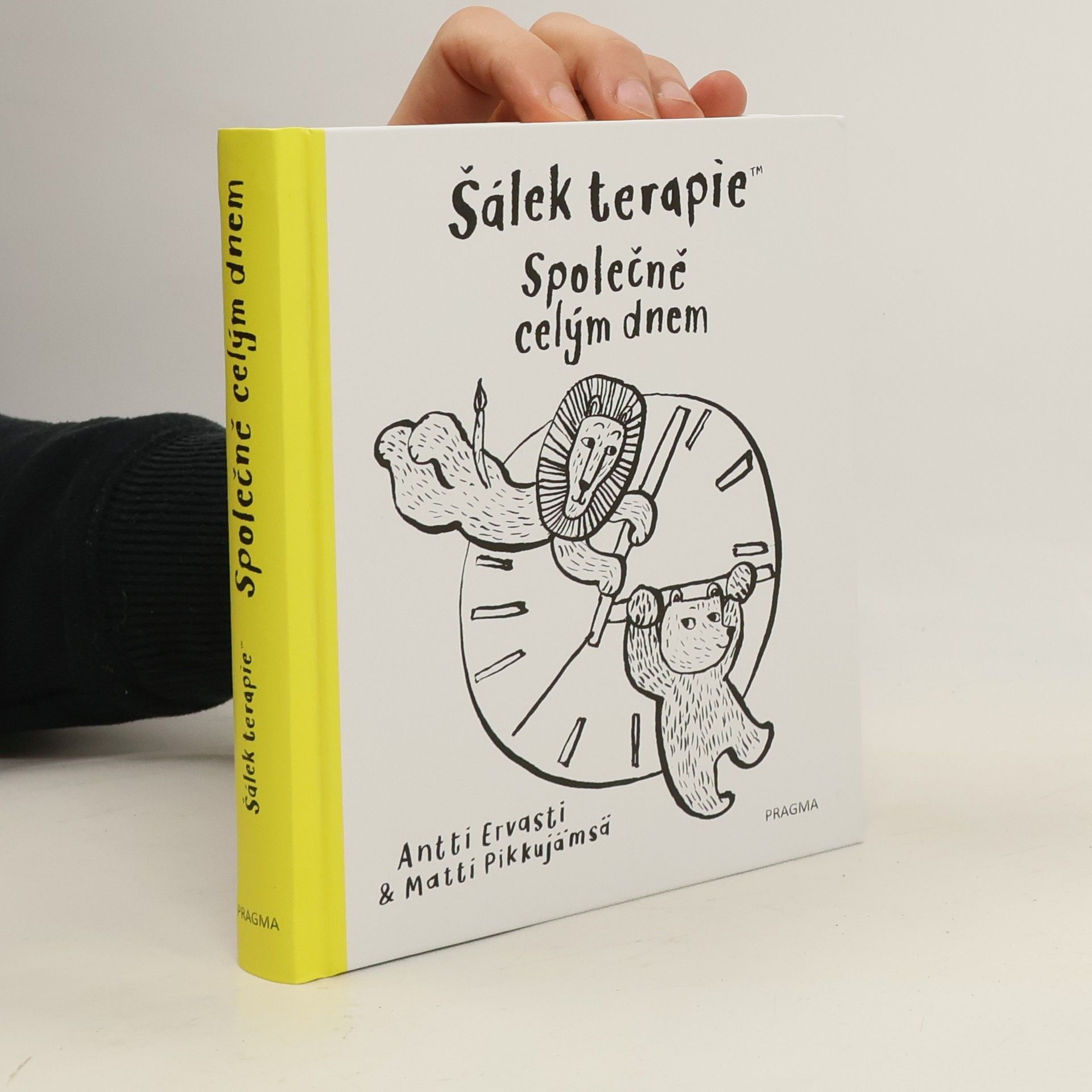 Společně celým dnem