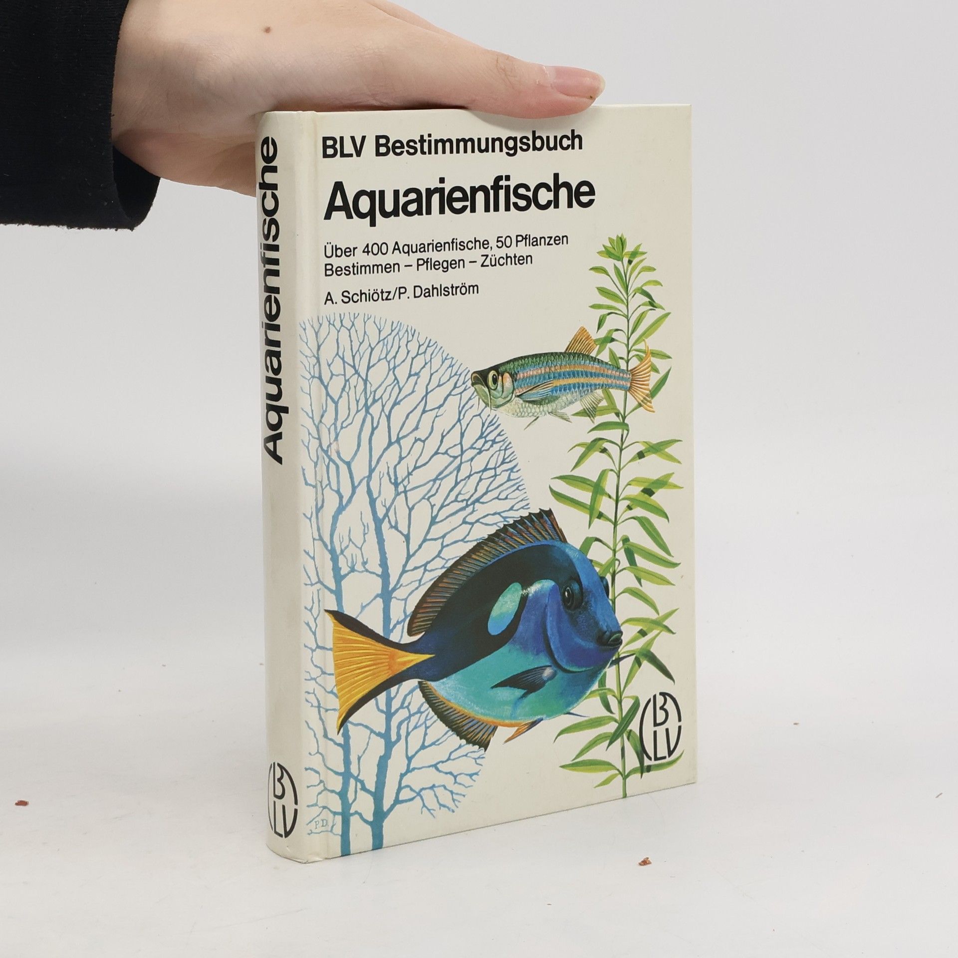 Aquarienfische
