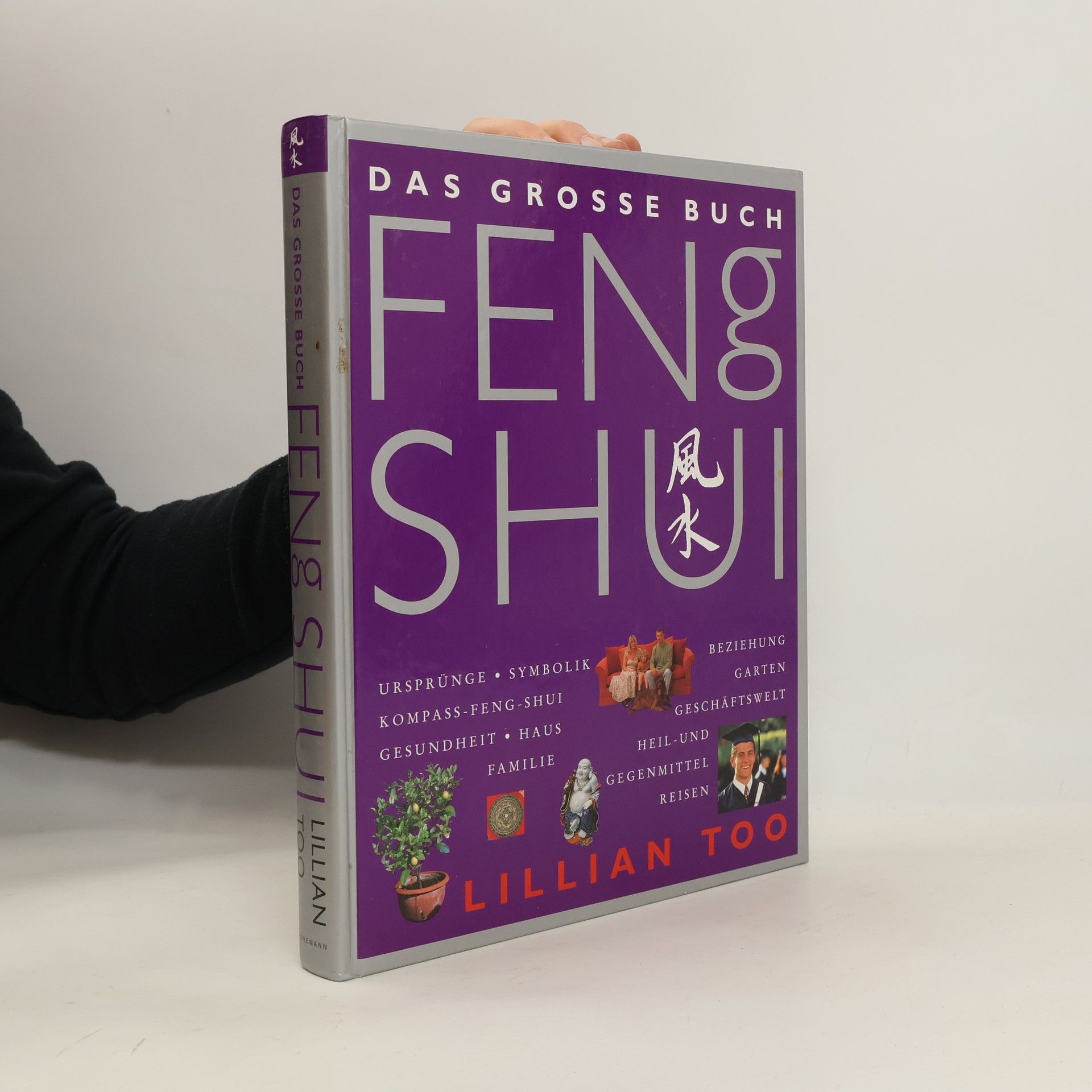 Das grosse Buch Feng Shui