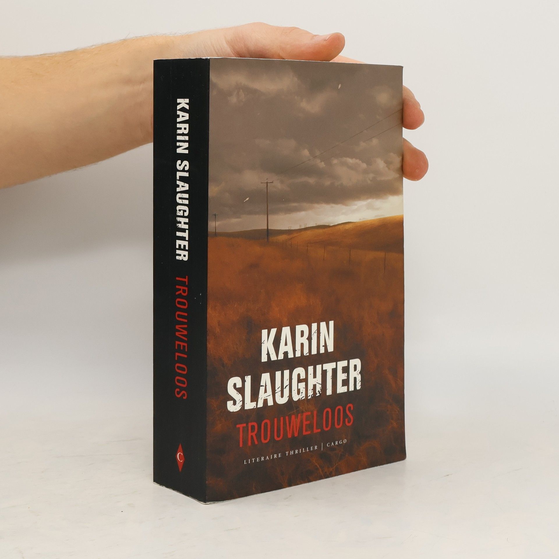 Karin Slaughter Trouweloos