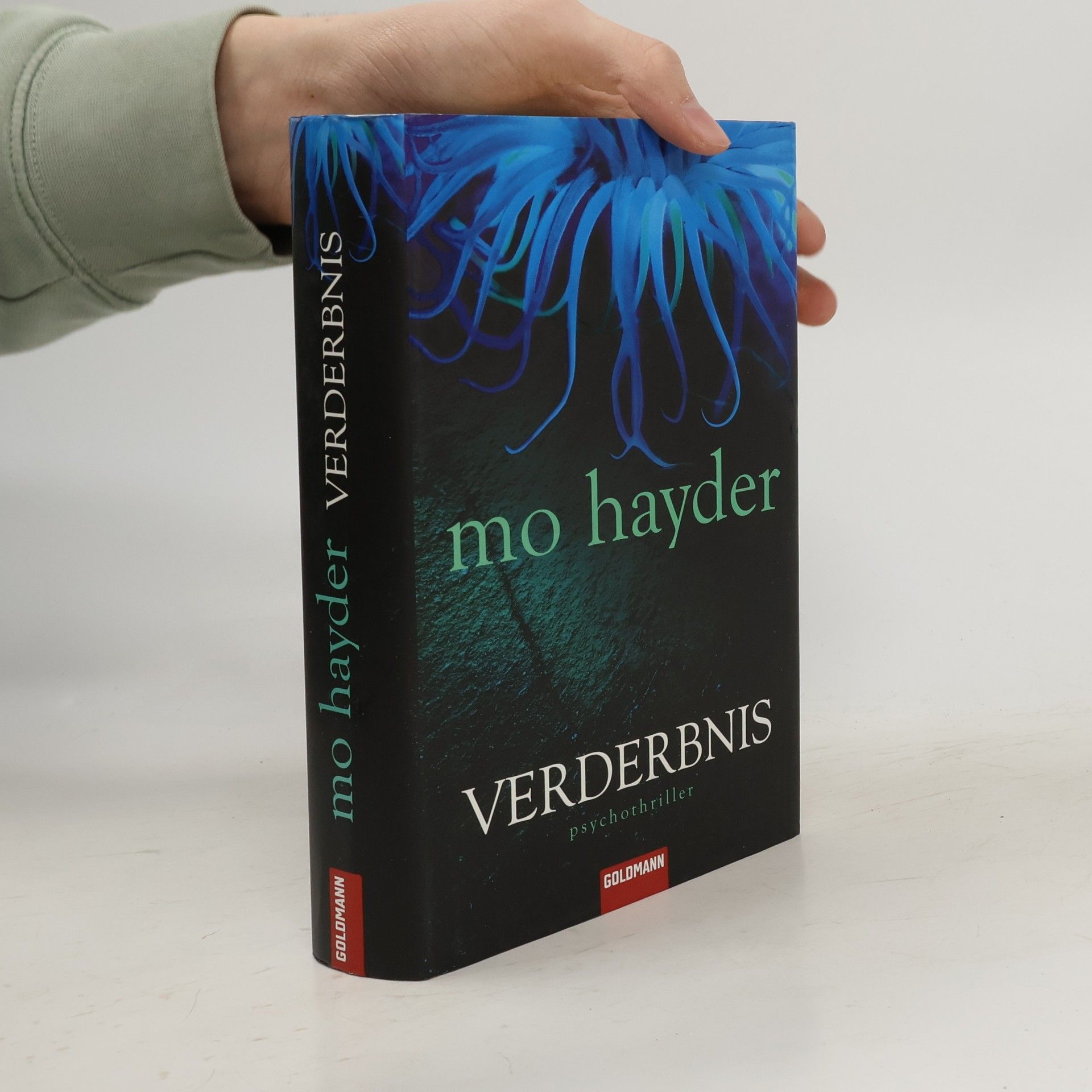 Mo Hayder Verderbnis