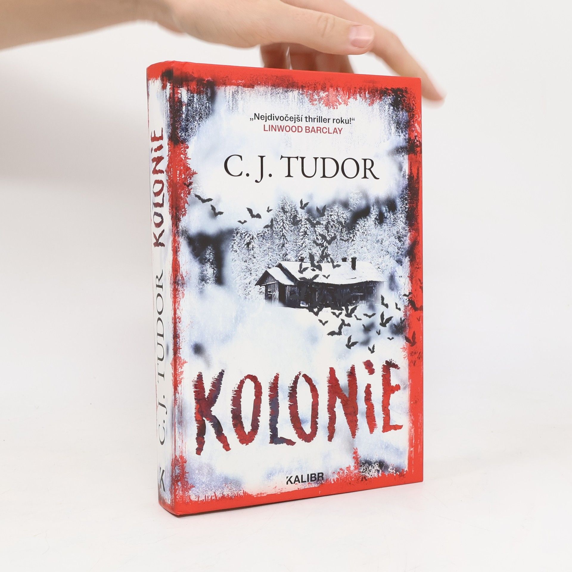 Kolonie