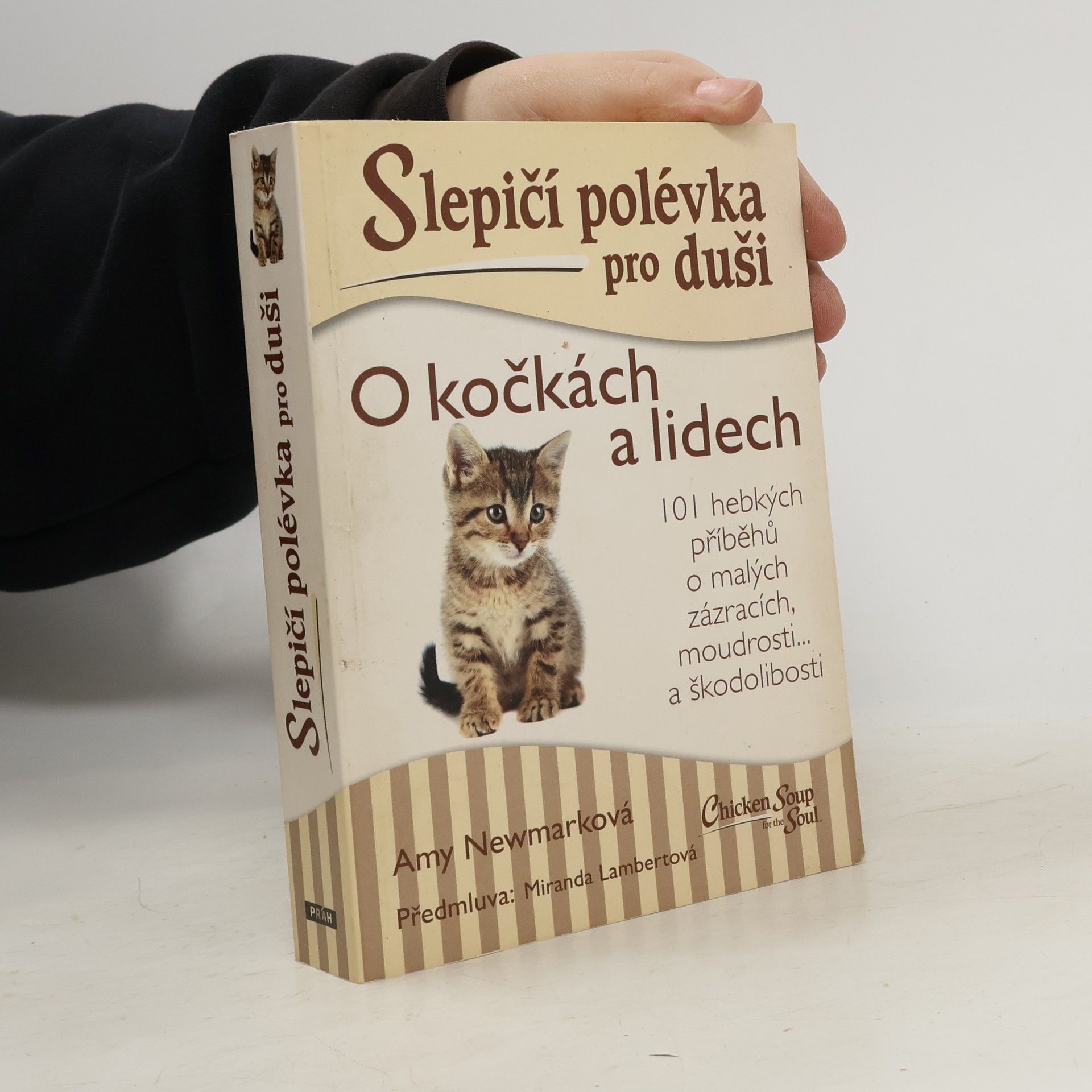 Slepičí polévka pro duši