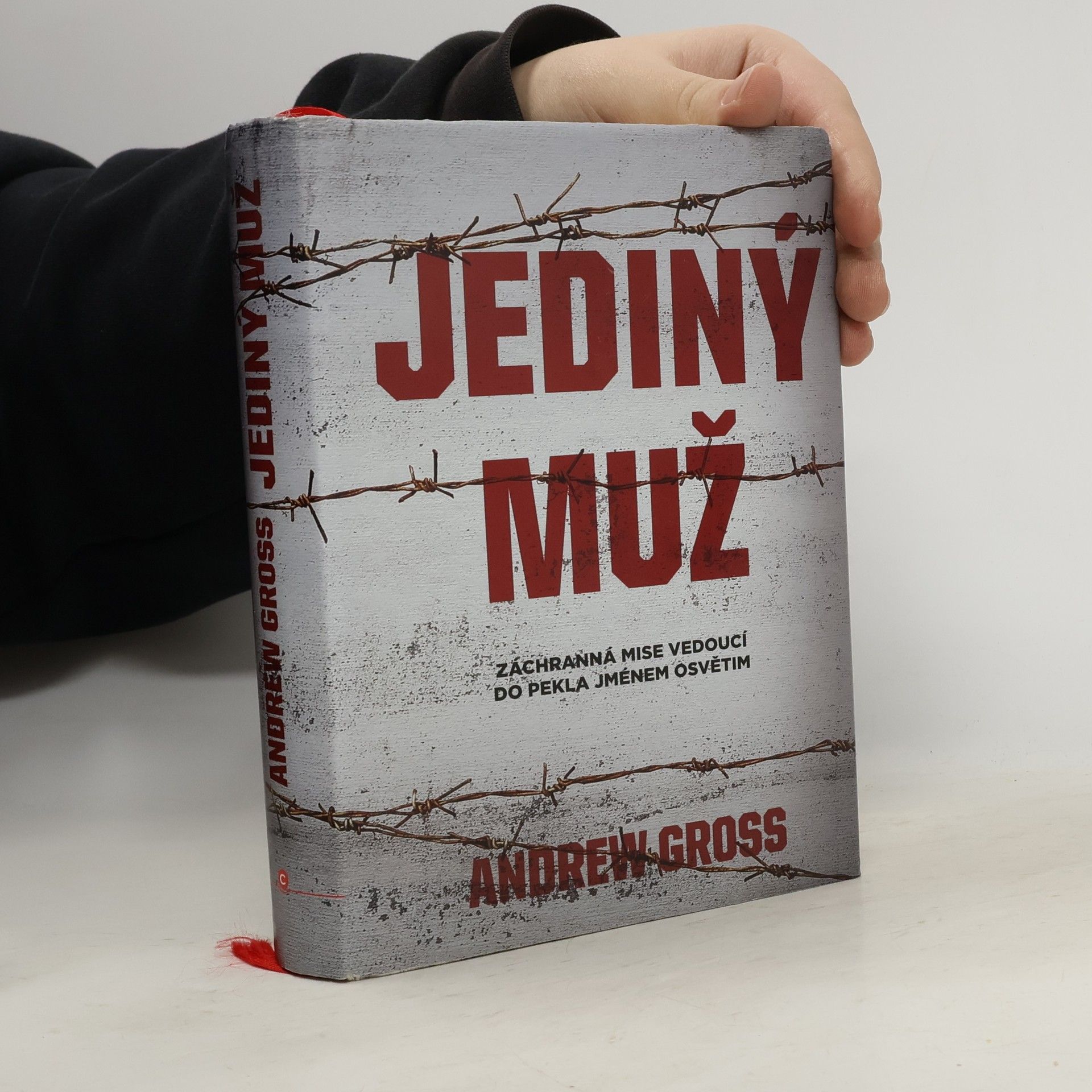 Andrew Gross Jediný muž