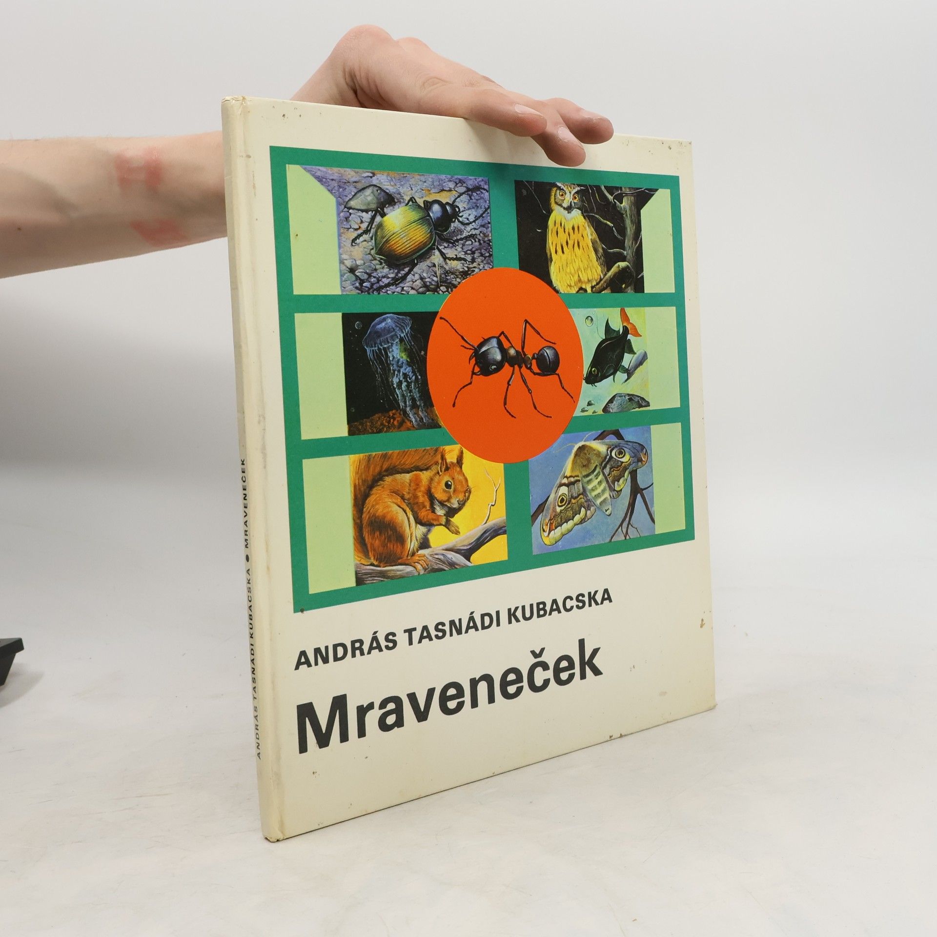 András Tasnádi Kubacska Mraveneček