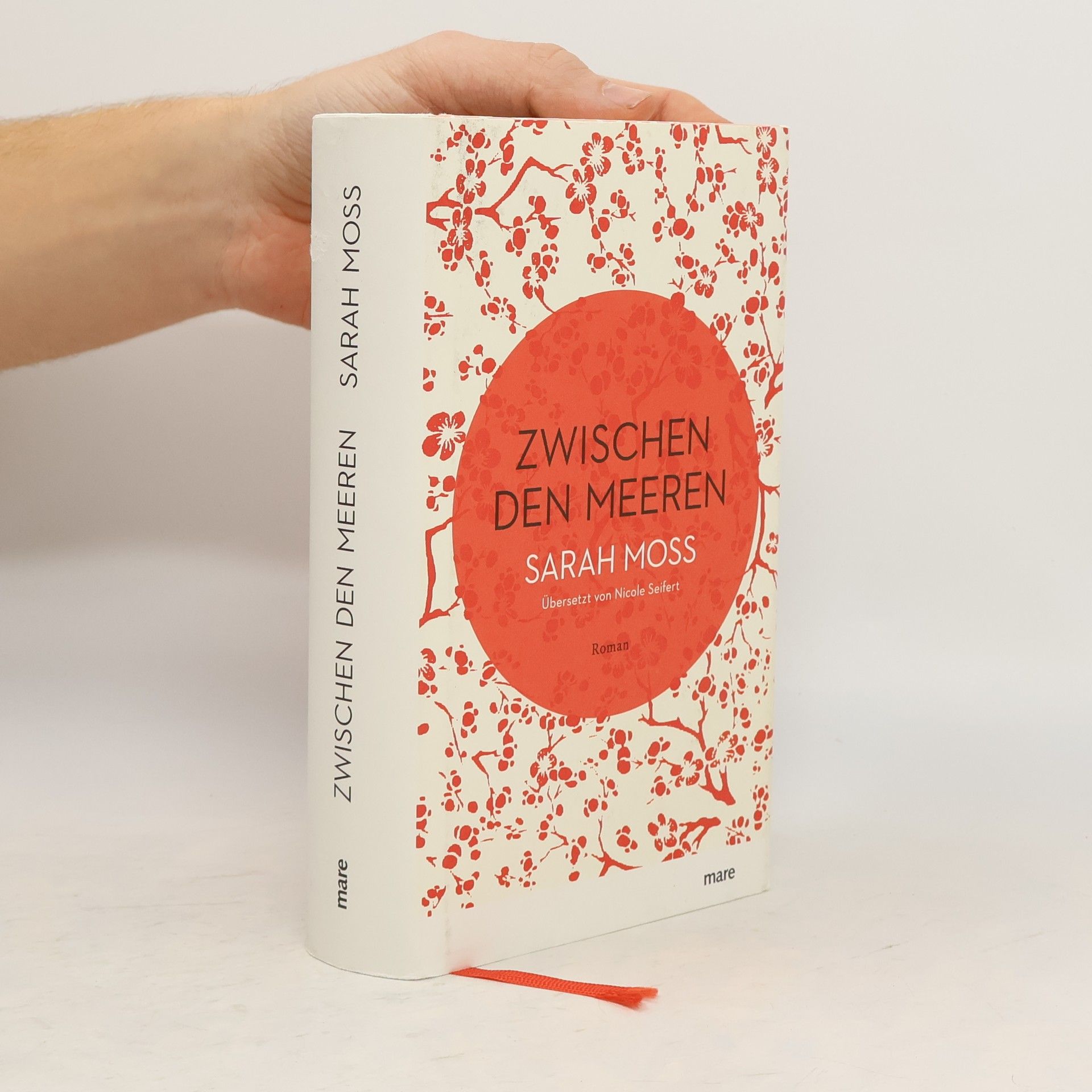 Sarah Moss Zwischen den Meeren