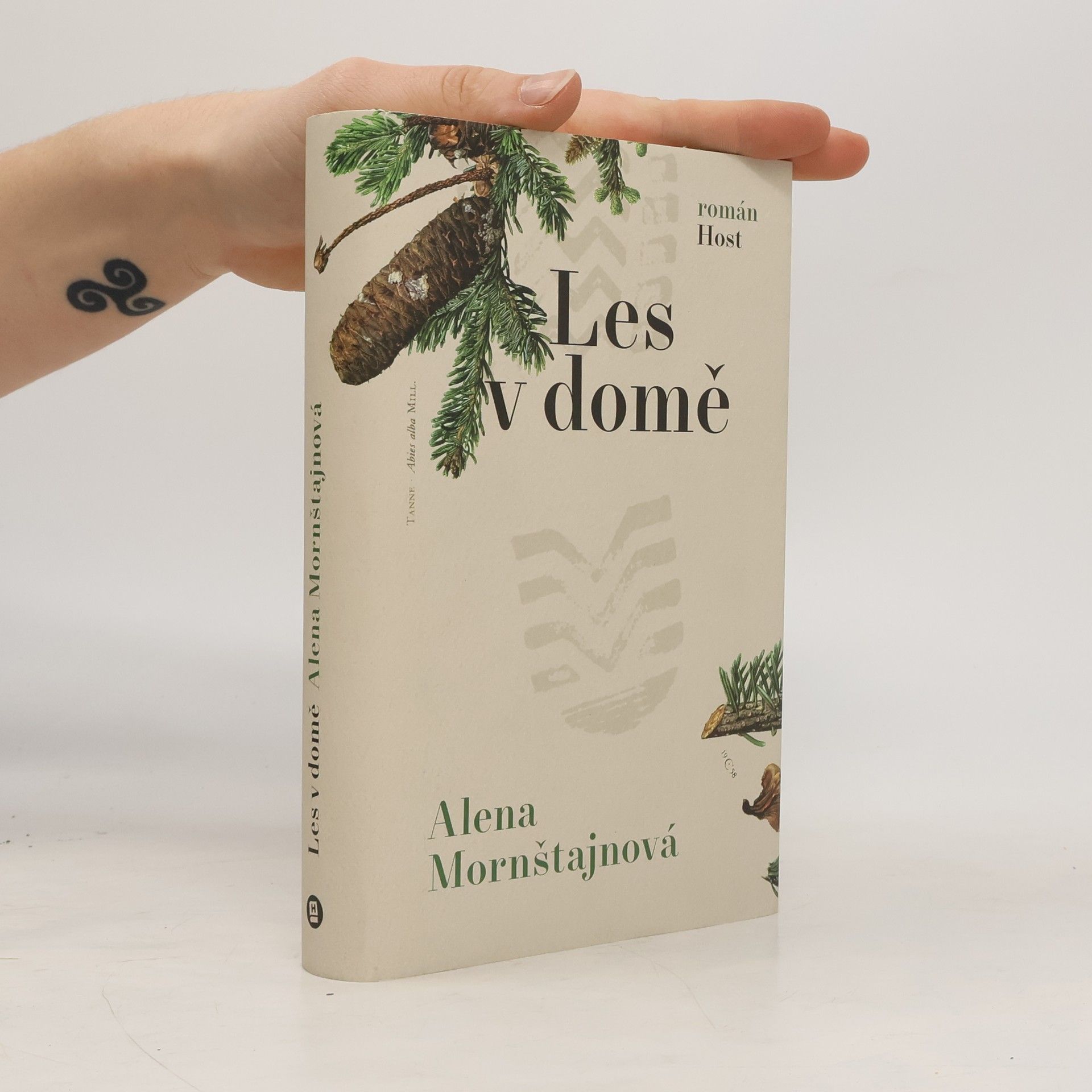 Alena Mornštajnová Les v domě