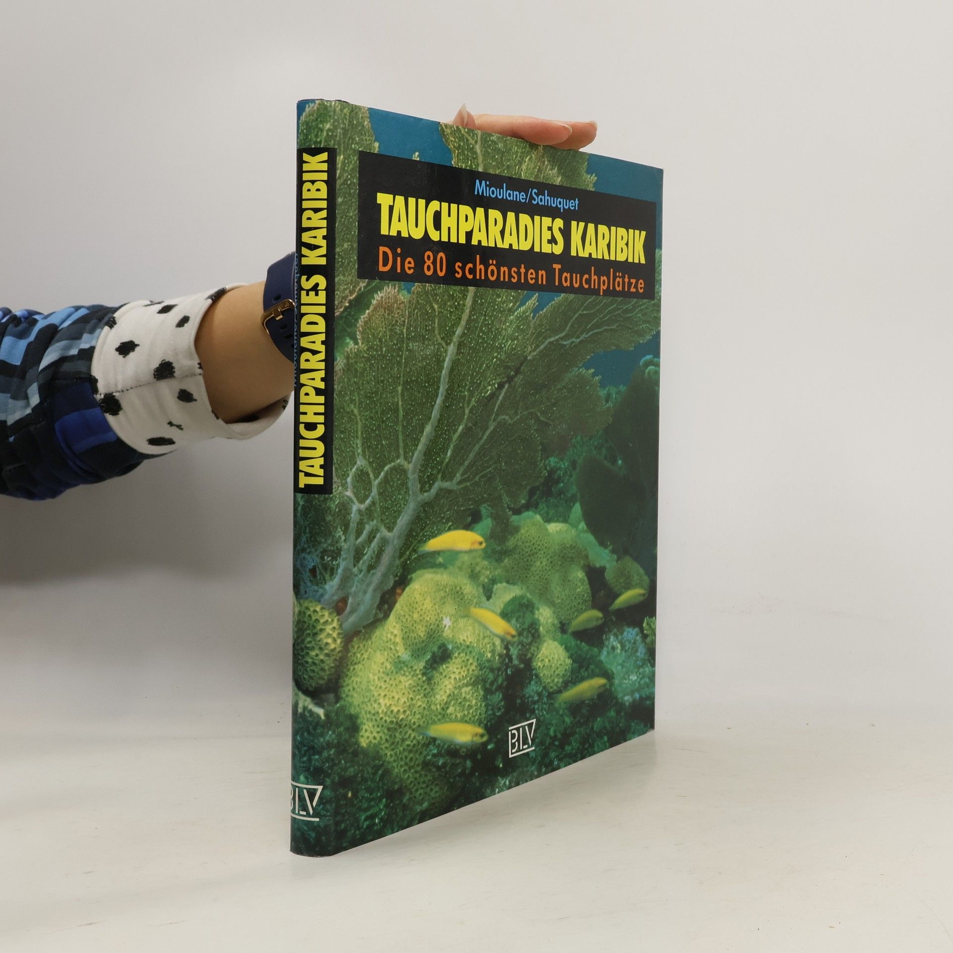 Patrick Mioulane Tauchparadies Karibik