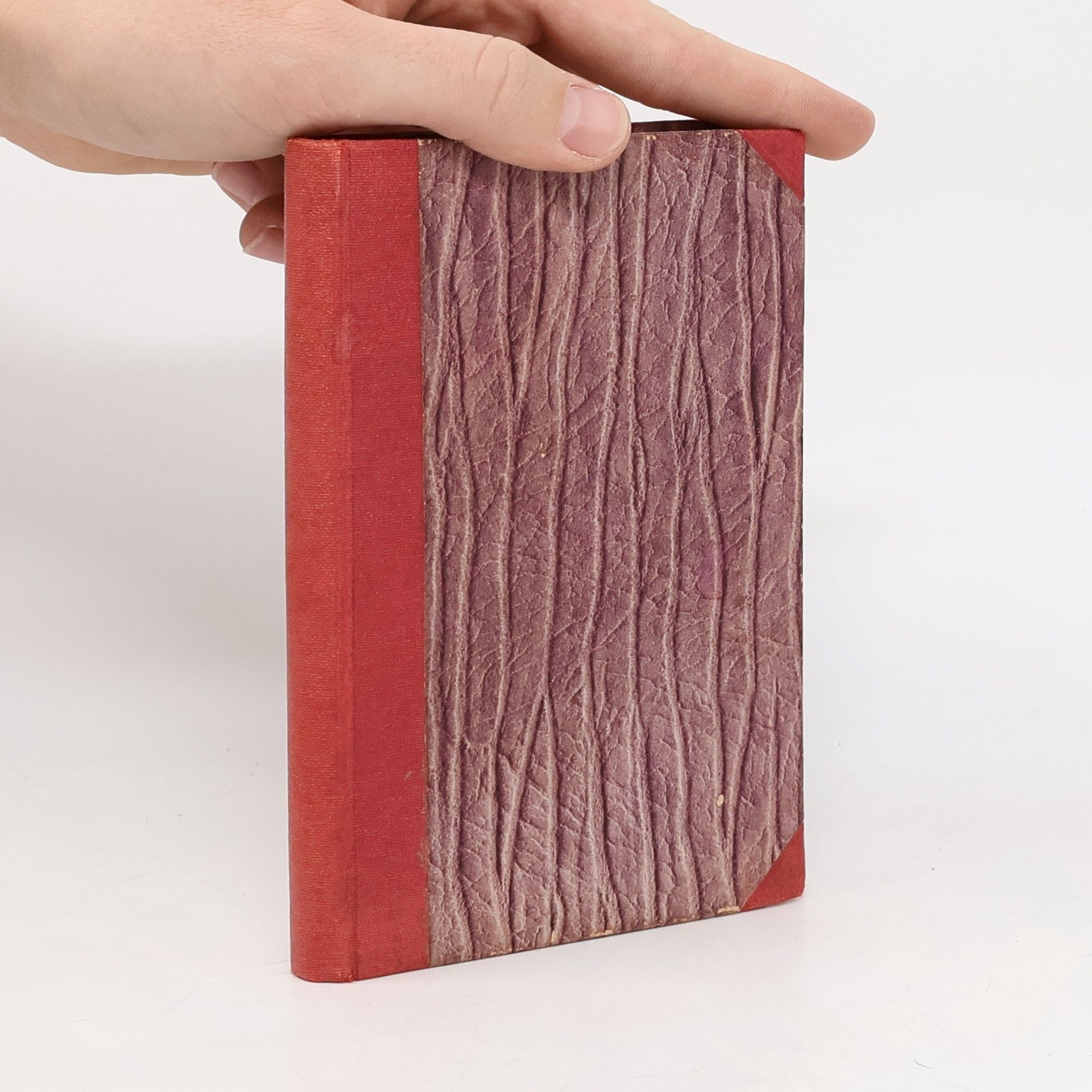 Kuneš Bauer Nepřátelé demokracie