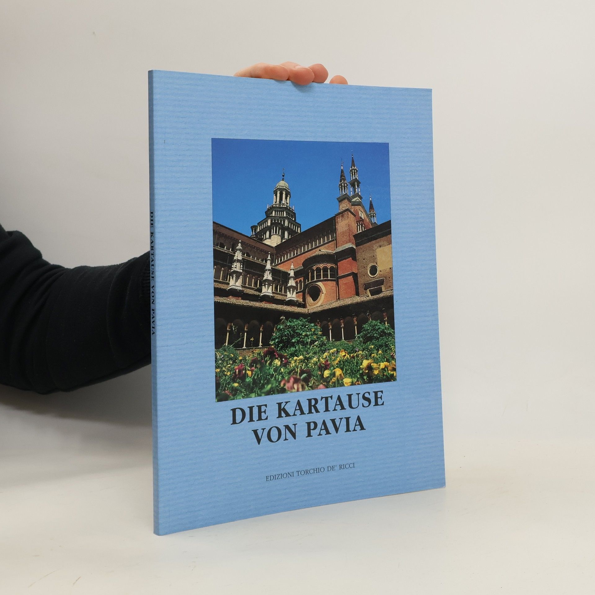 Kolektív autorov Die Kartause von Pavia