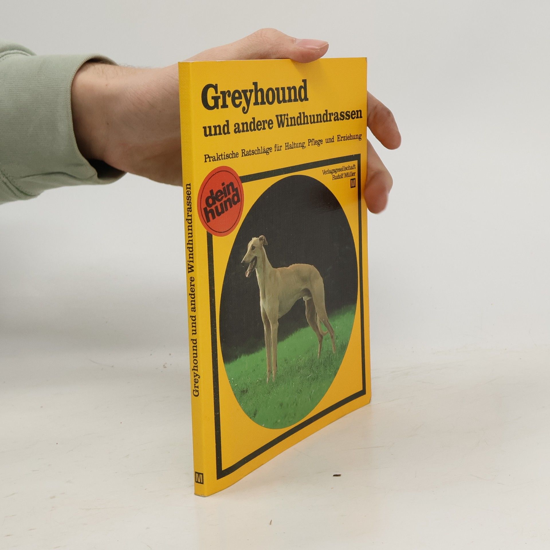 Ilse Schultze Greyhound und andere Windhundrassen