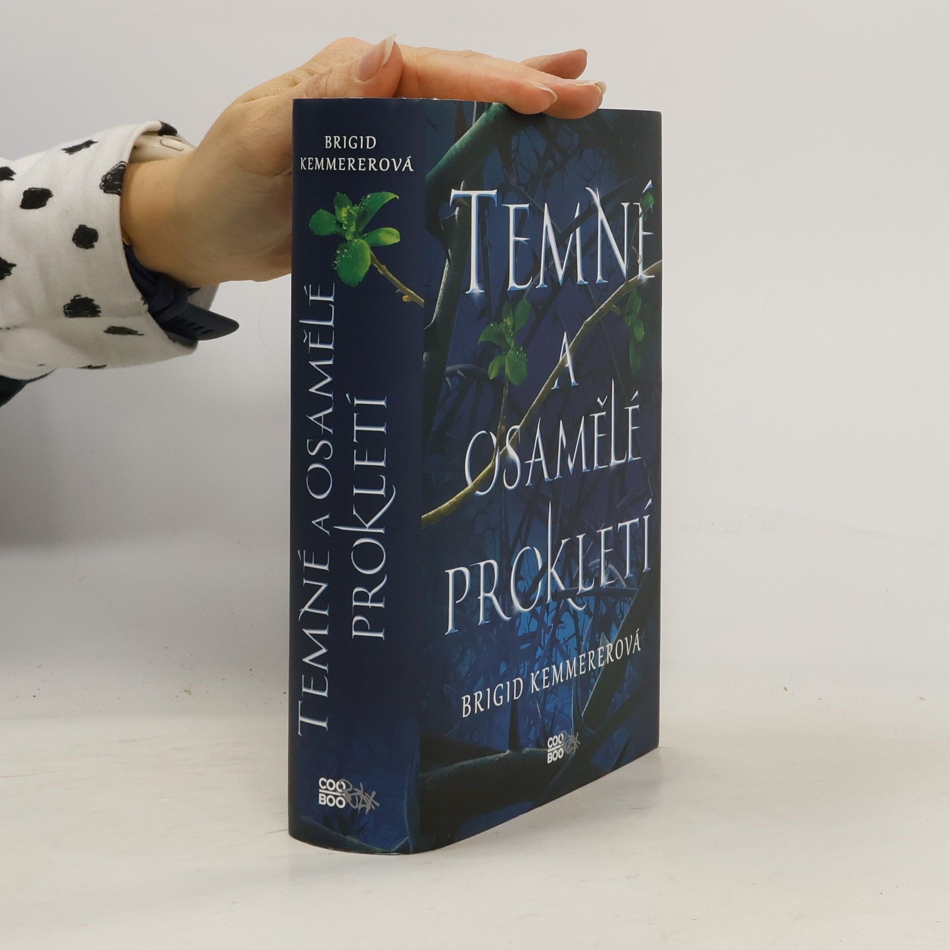 Brigid Kemmerer Temné a osamělé prokletí