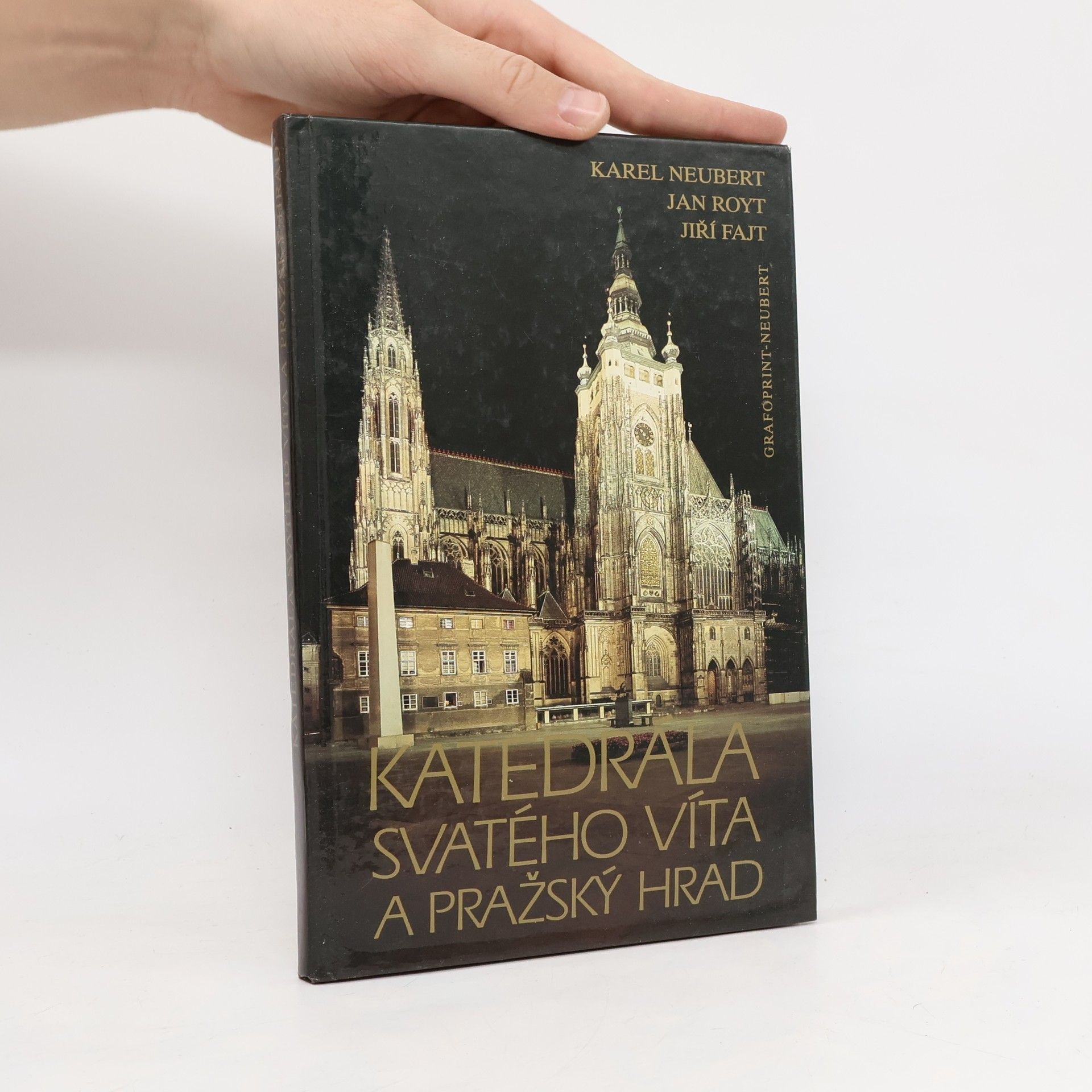 Jan Royt Katedrála svatého Víta a Pražský hrad