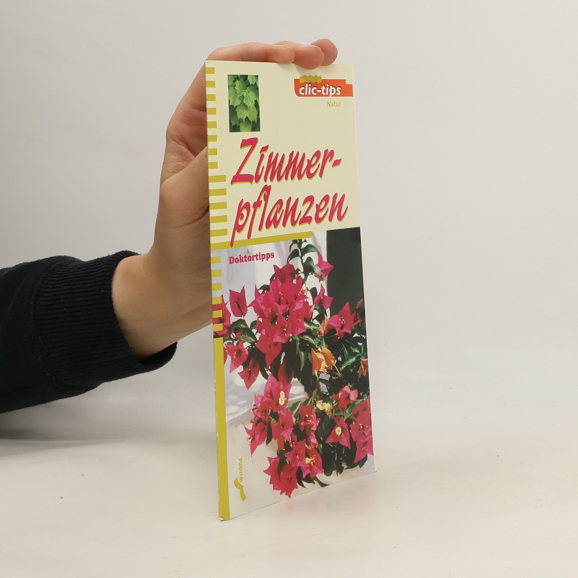 AA.VV. Zimmerpflanzen