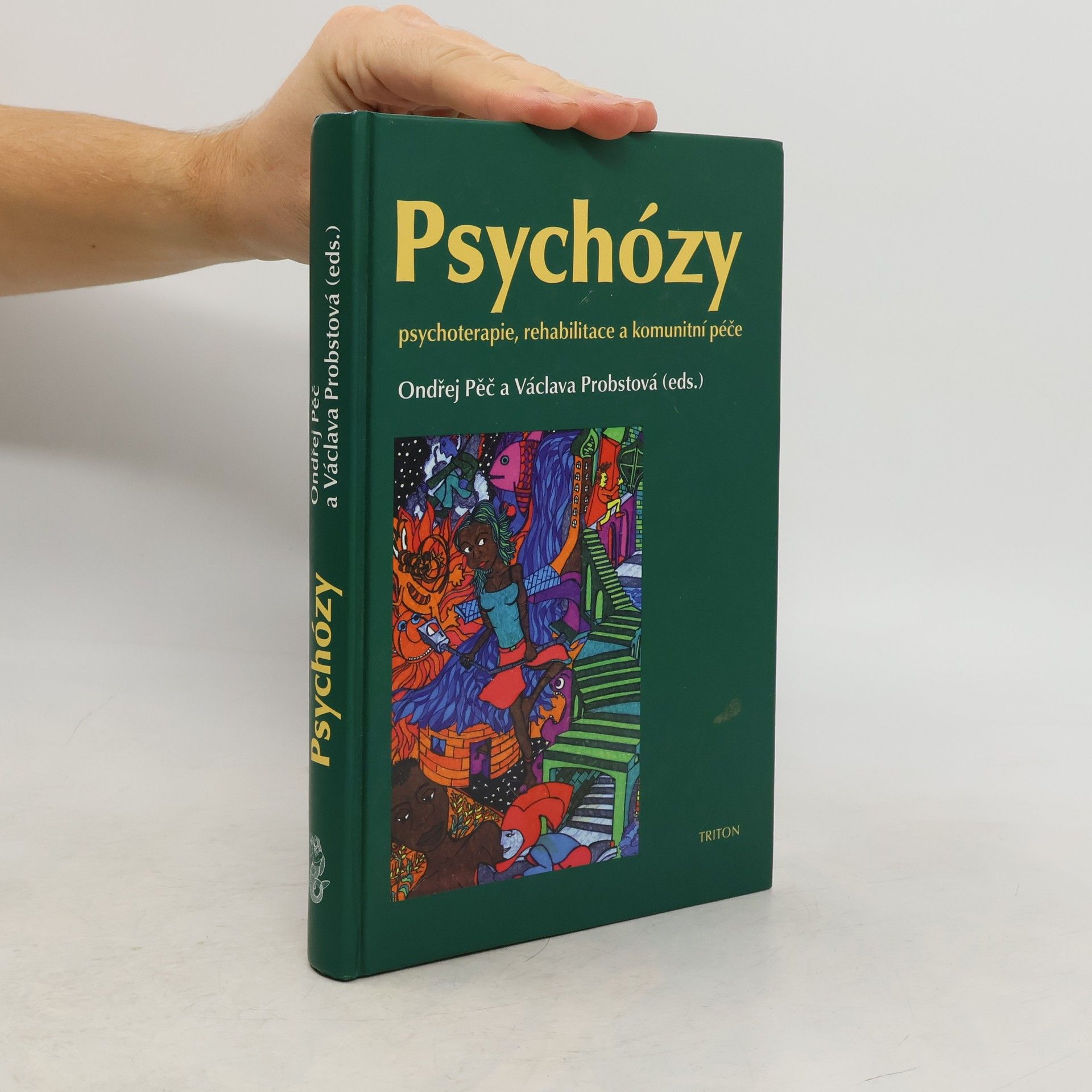 Psychózy - Psychoterapie, rehabilitace a komunitní péče