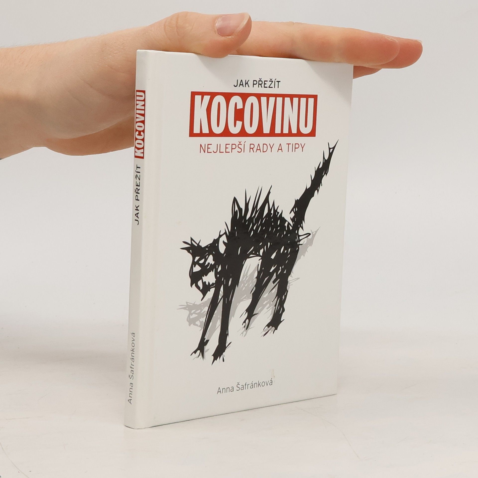 Jak přežít kocovinu: Nejlepší rady a tipy