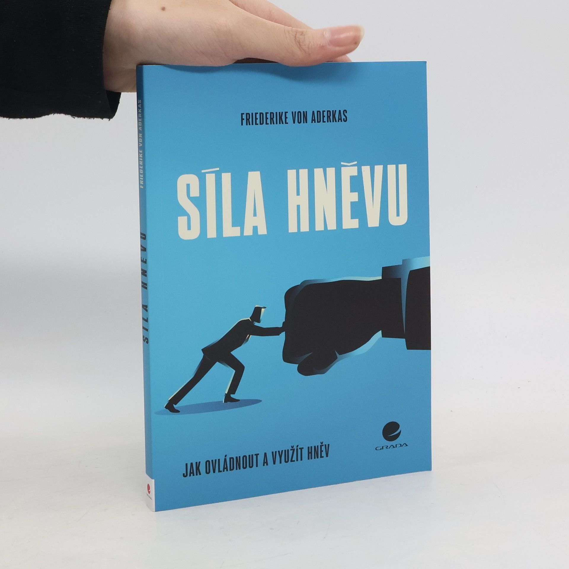 Síla hněvu : jak ovládnout a využít hněv