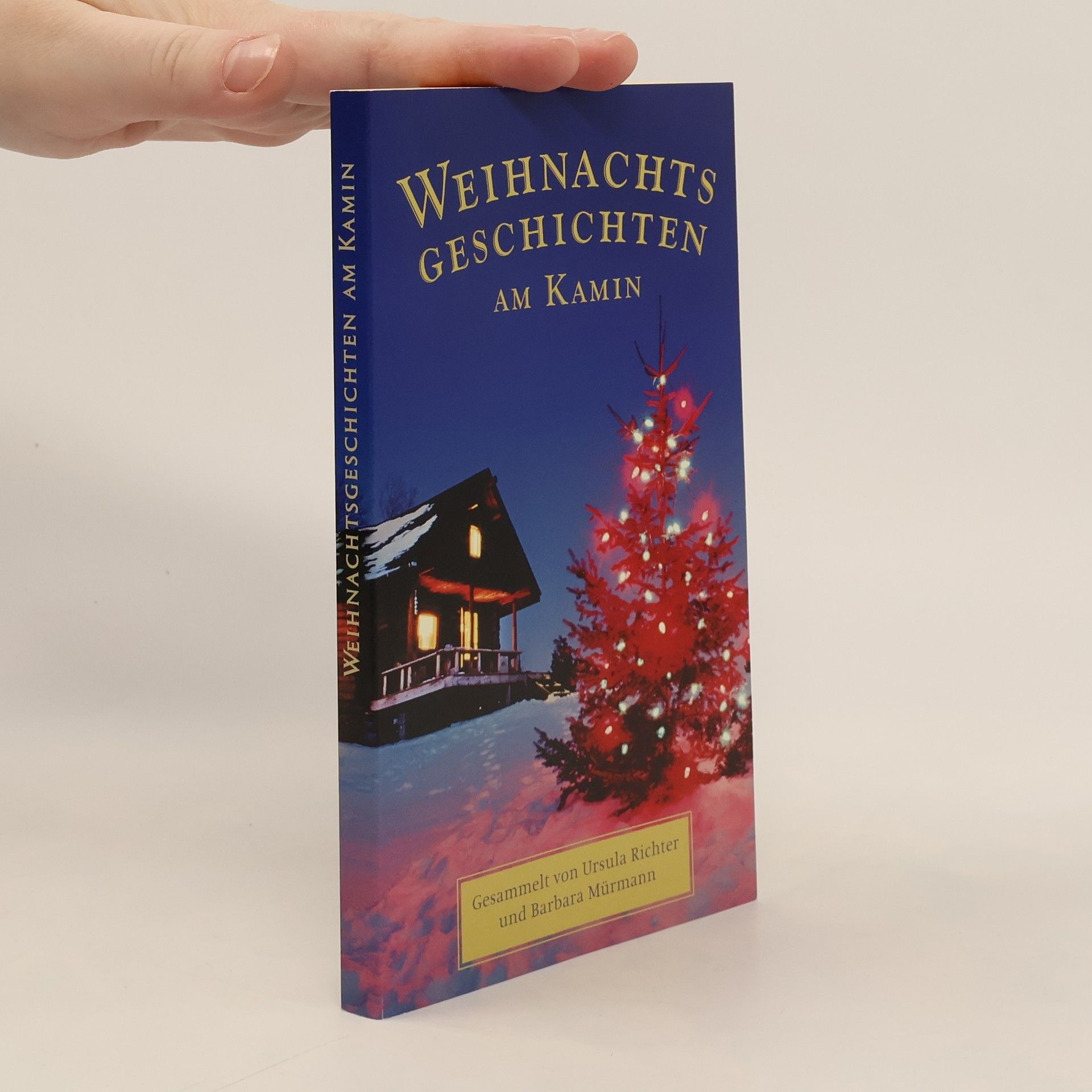 Weihnachtsgeschichten